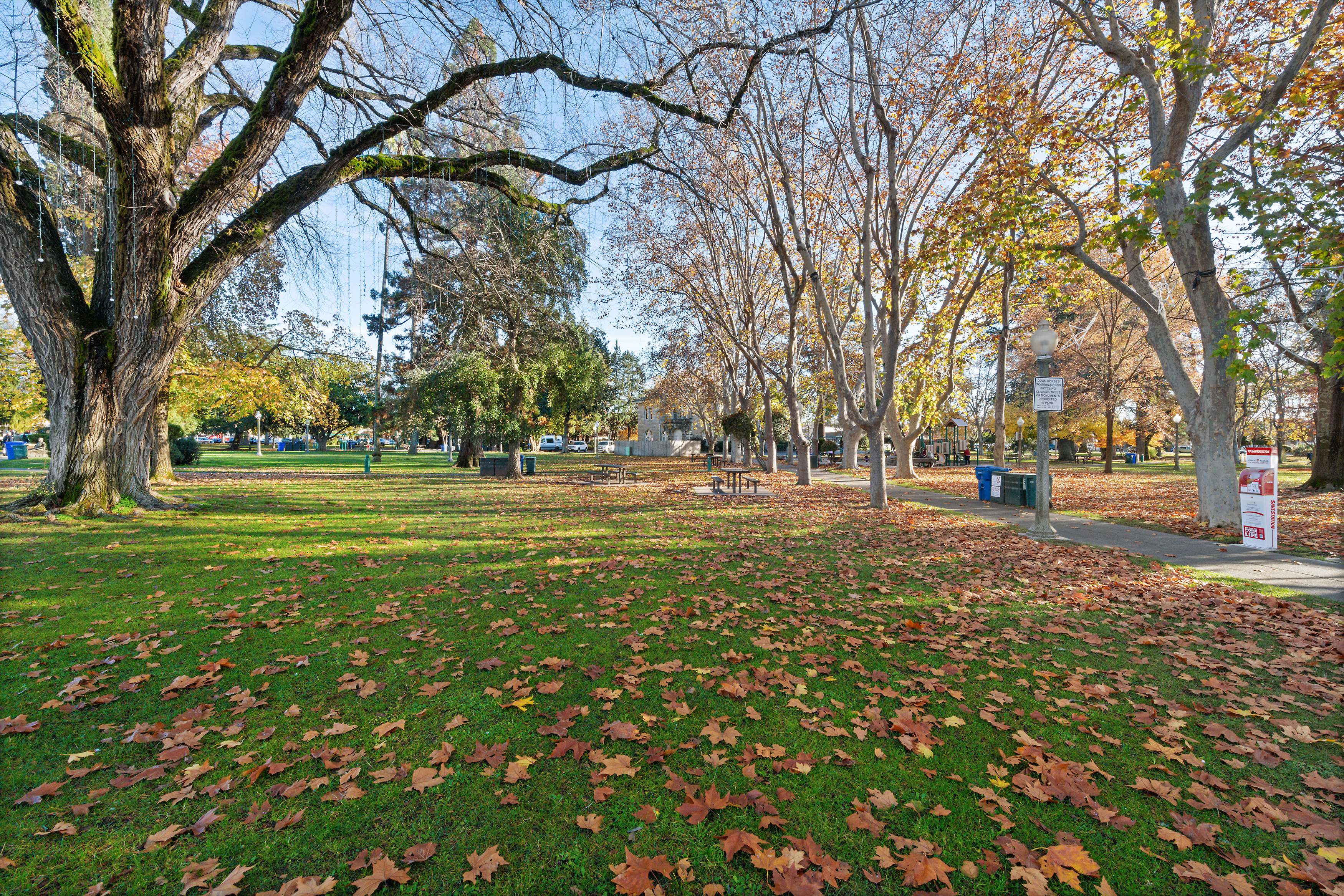  Entitled 31 Unit Luxury Condo Development Near Downtown Sonoma Plaza - 物件實景