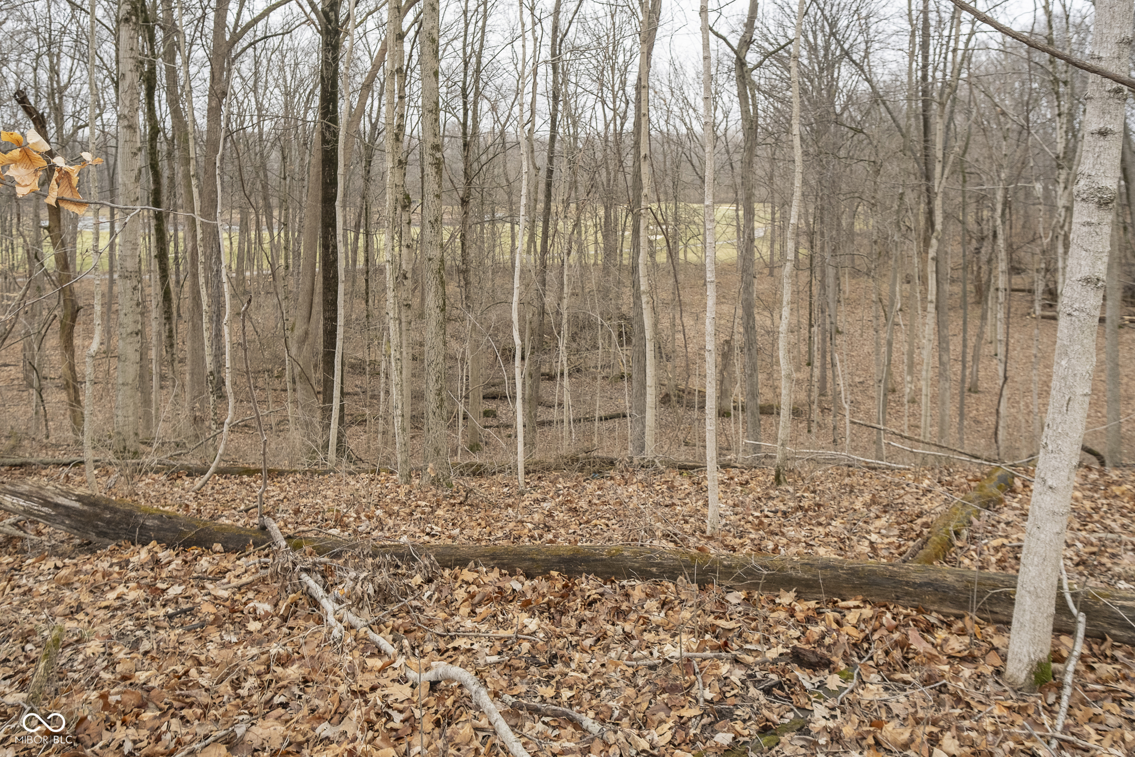 Zionsville, Indiana, 46077, United States, ,Residential,For Sale,1984208