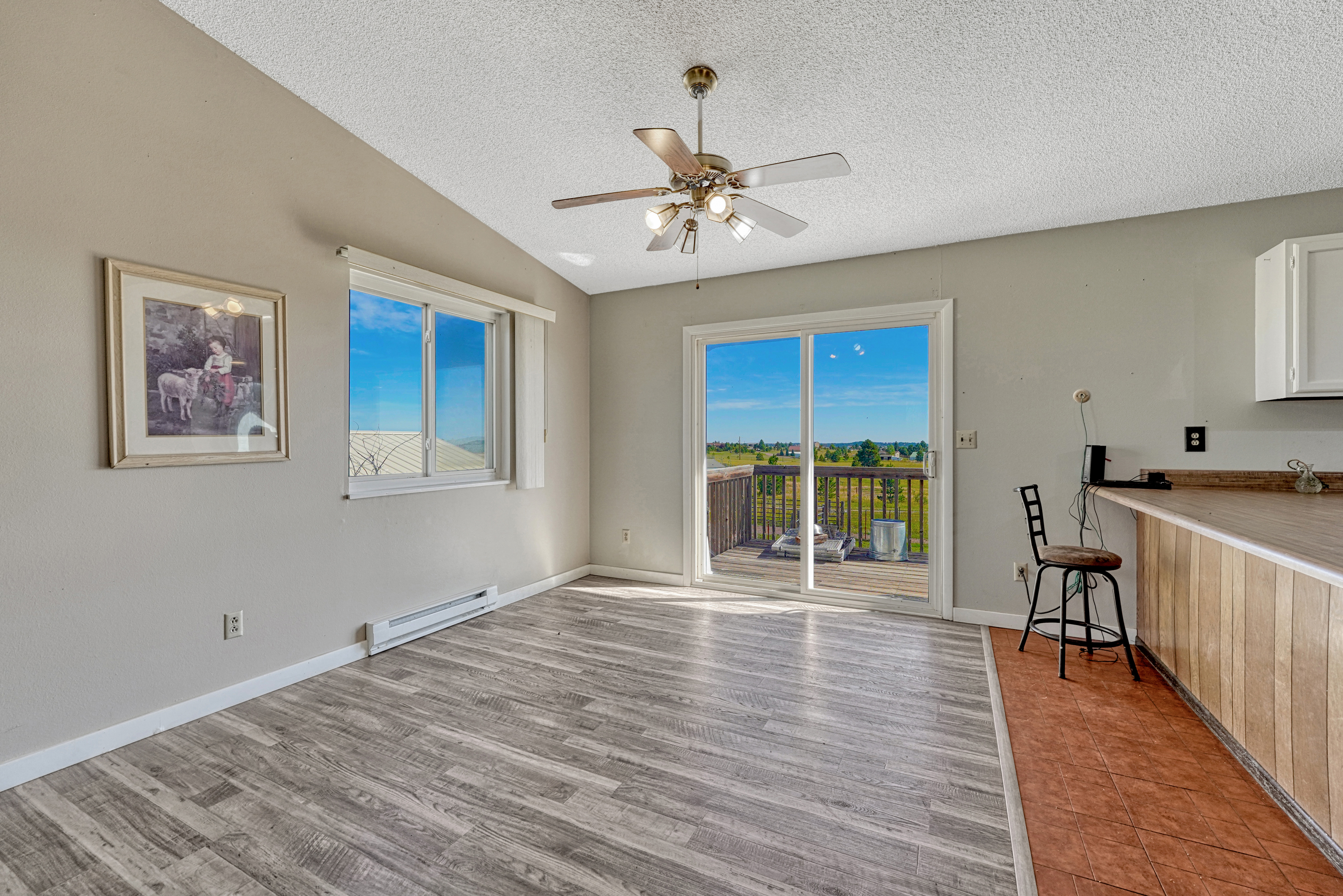  Amazing equestrian property in Black Forest on almost 6 acres - 物件實景