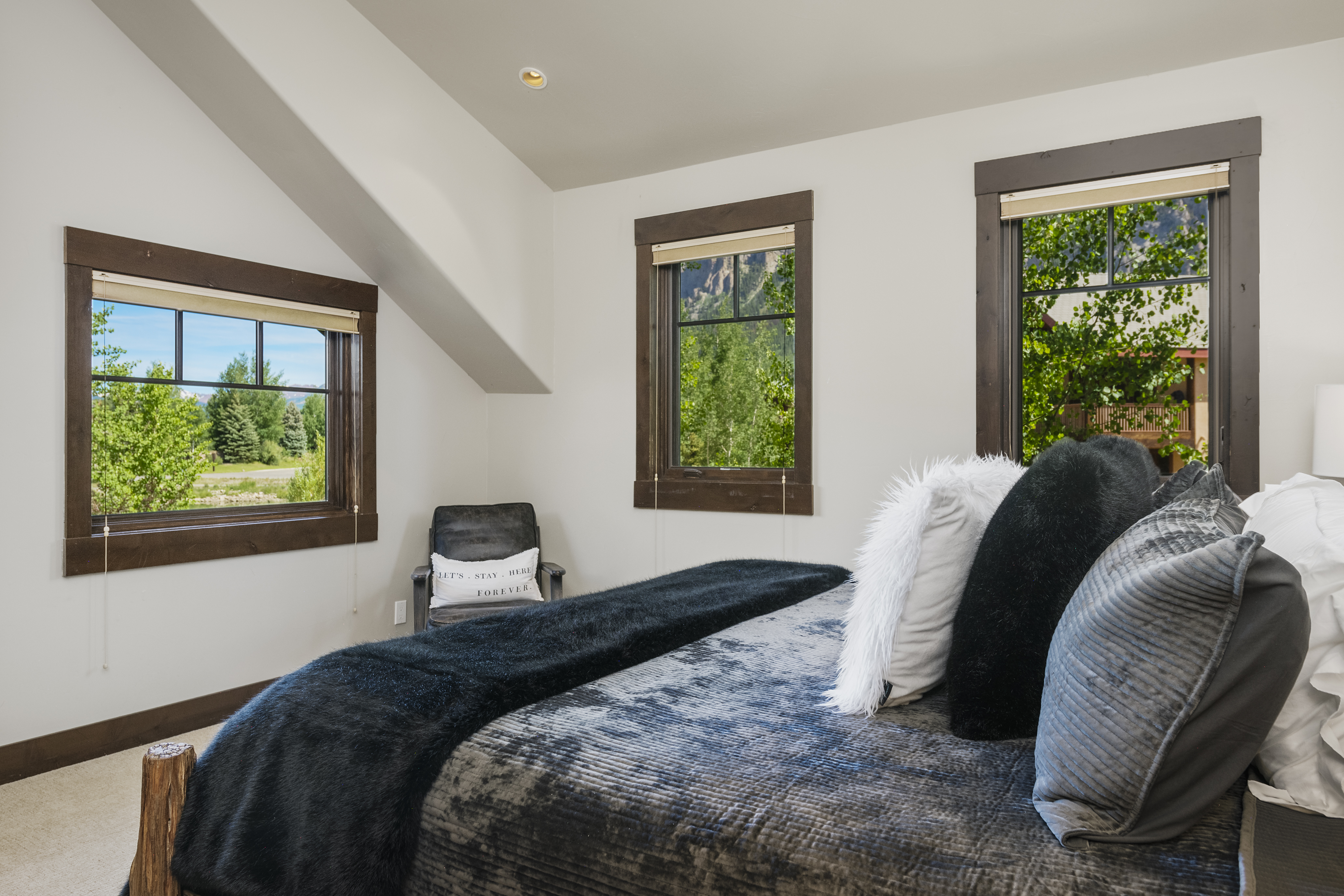  330 Larkspur Loop, Crested Butte, CO 81224 - 物件實景