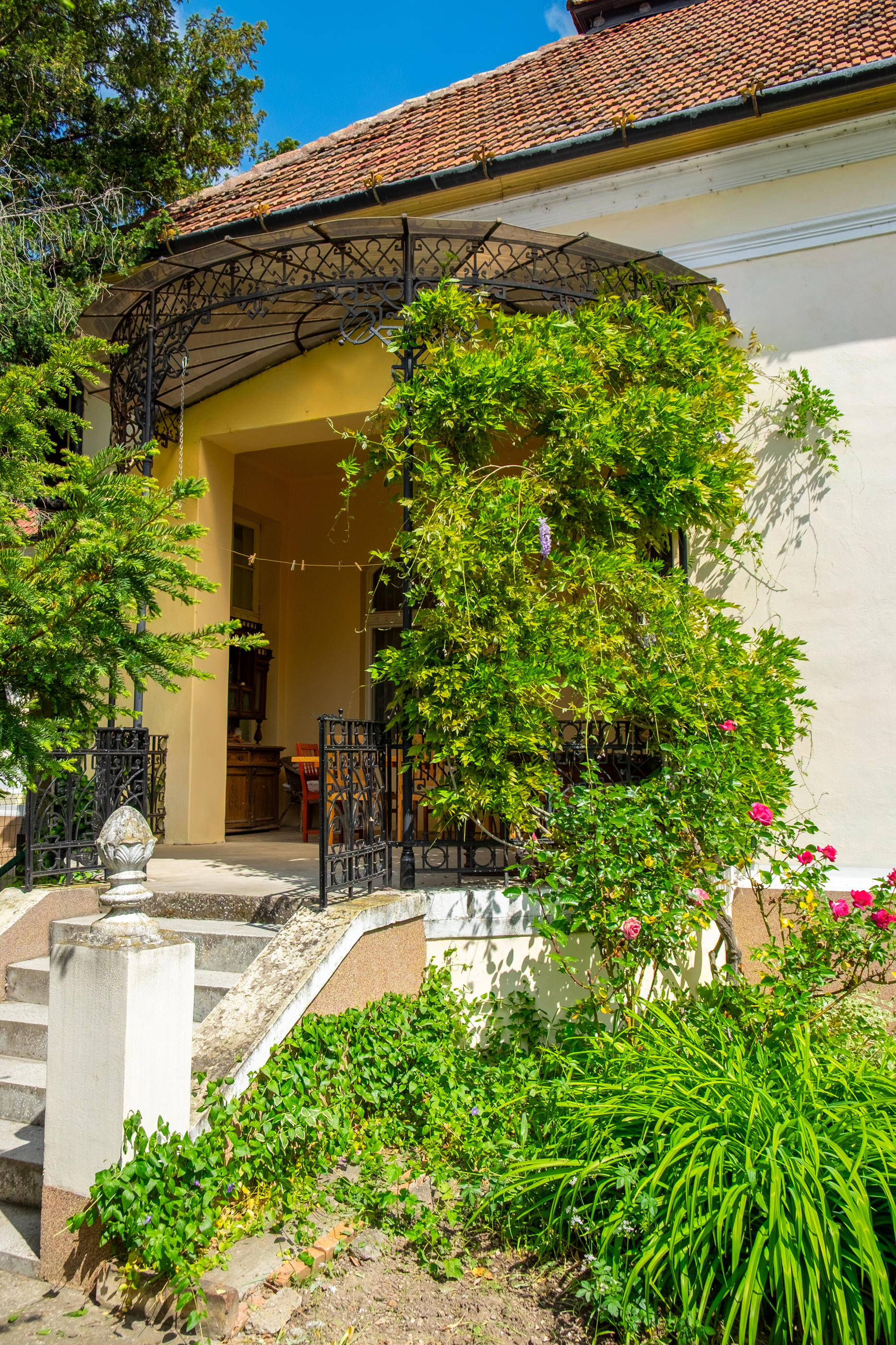  Ferch Manor - History and Tradition near Timioara - 物件實景