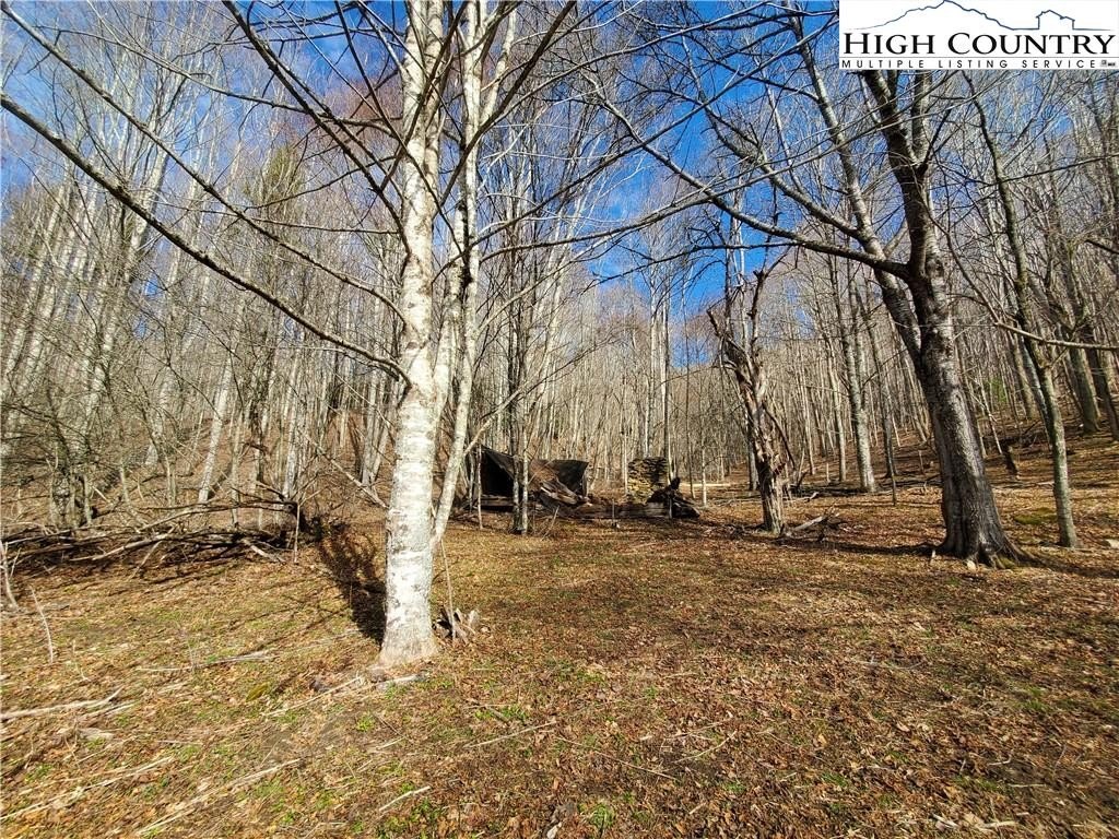 Warrensville, North Carolina, 28693, United States, ,Land,For Sale,1984173