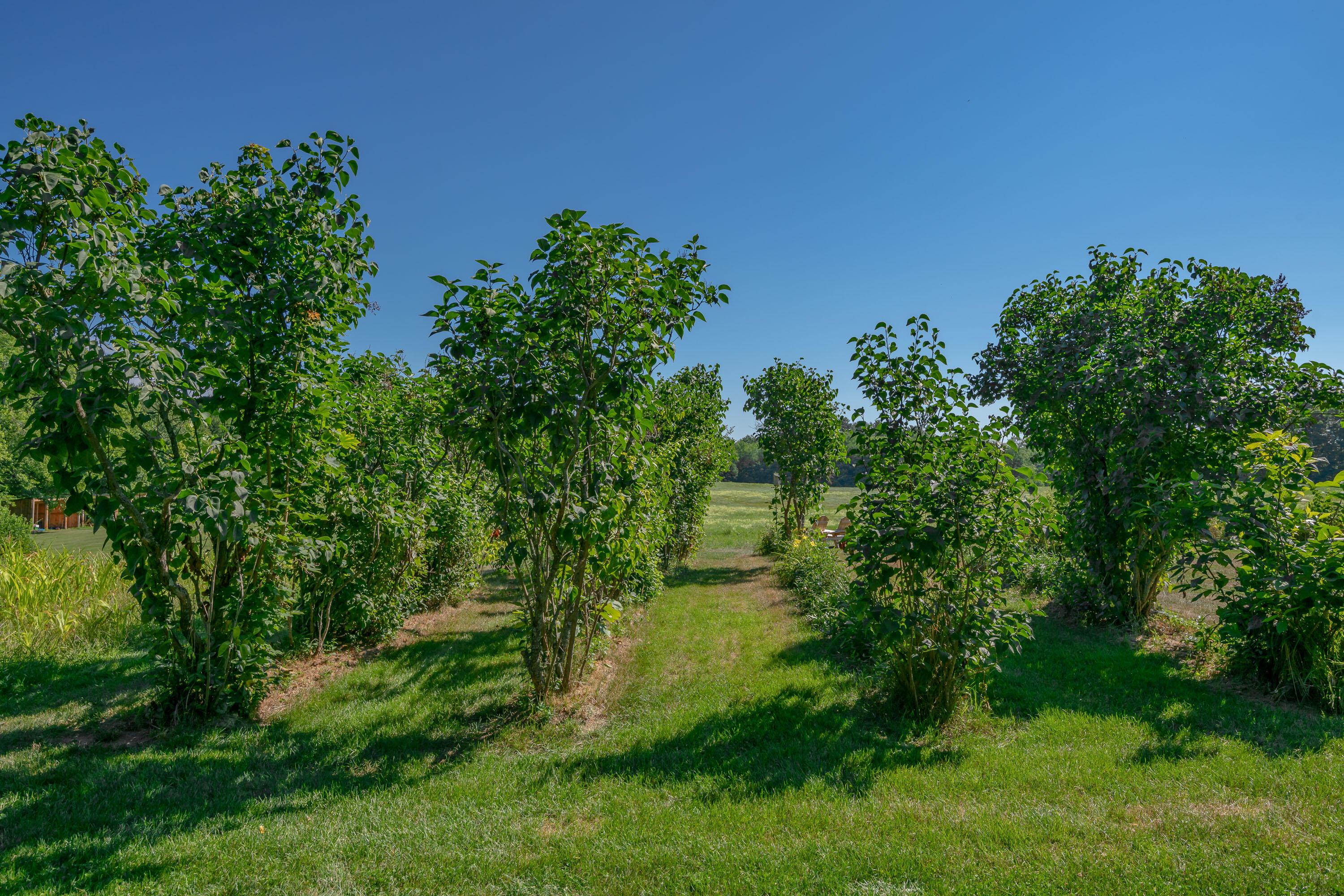  697 Fort Hill Road - 物件實景