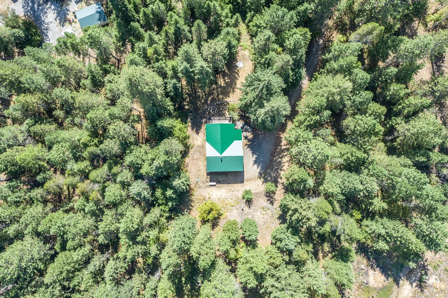  Nestled in the Cedar Grove - 物件實景
