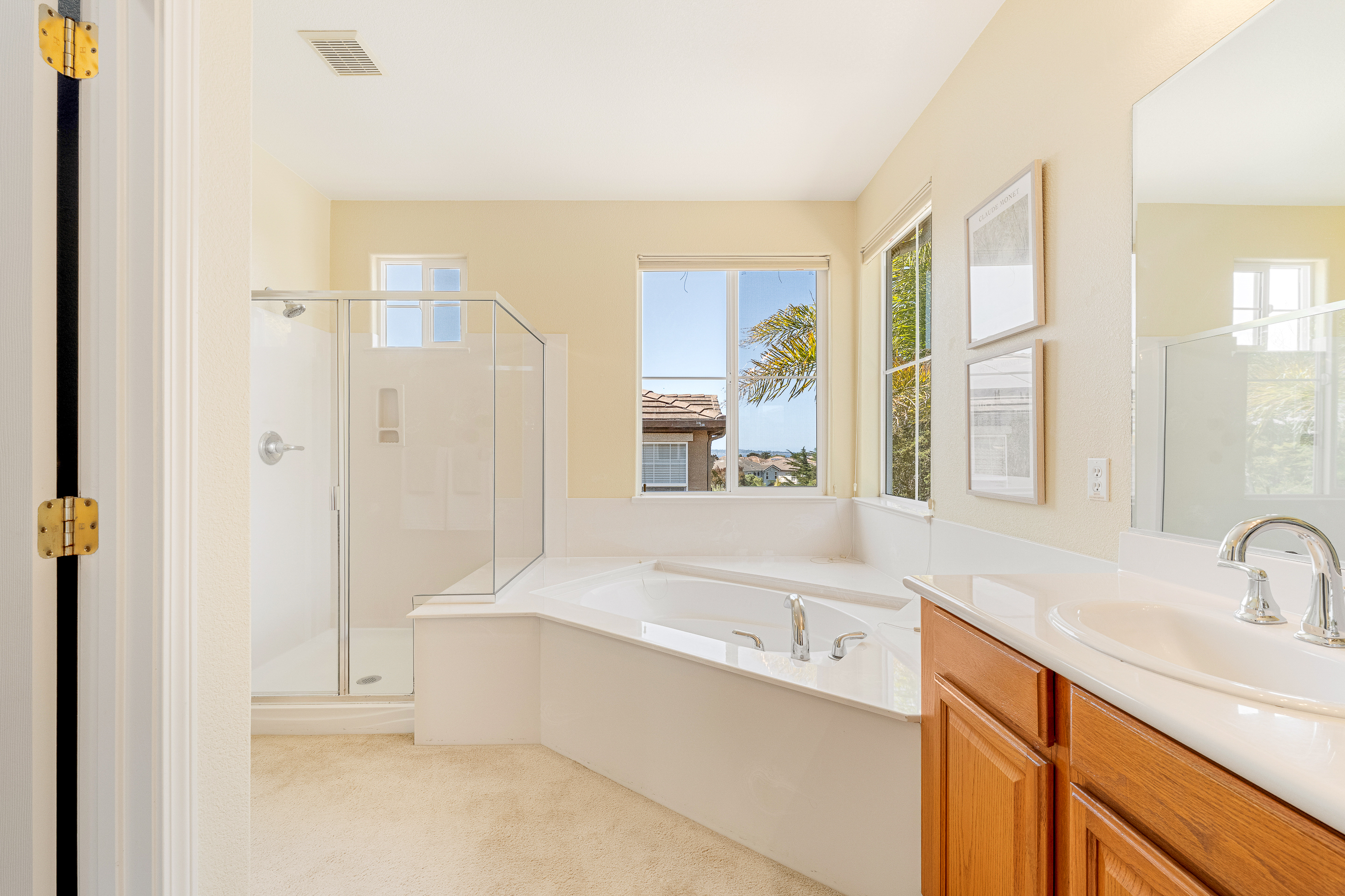  4460 Peninsula Point Drive - 物件實景