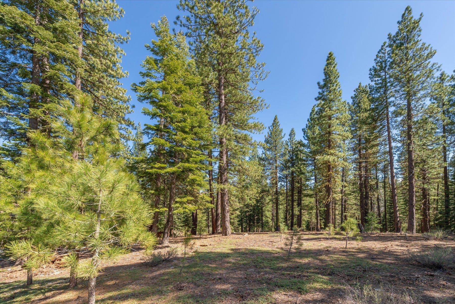 Truckee, California, 96161, United States, ,Land,For Sale,1828145