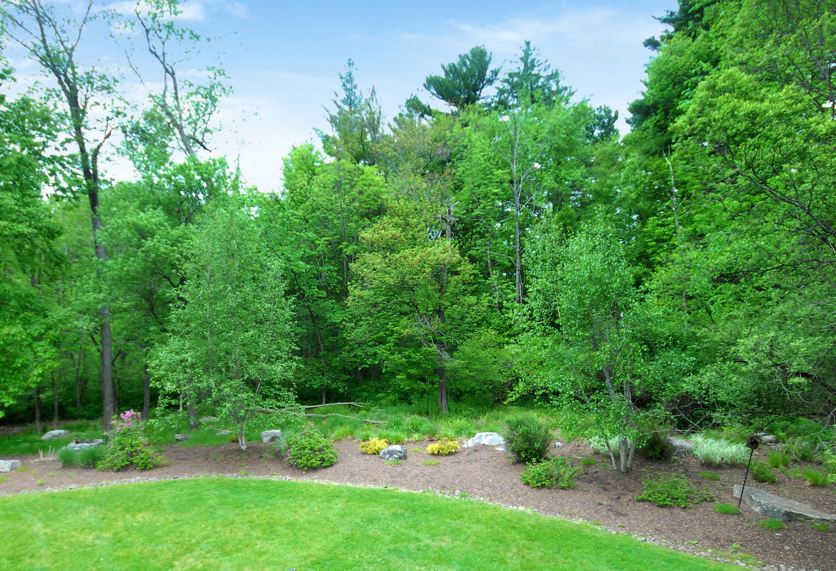  7 Proctor Street, Acton, MA 01720 - 物件實景
