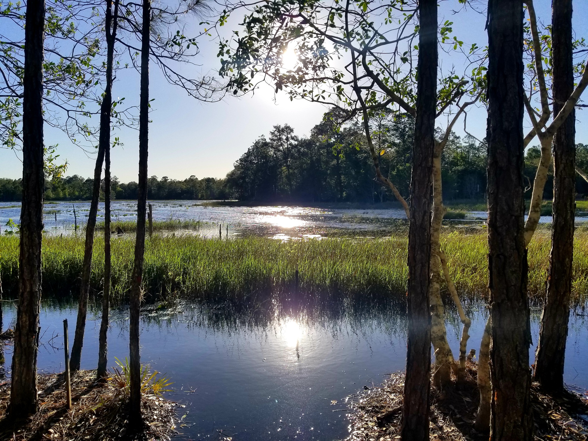 Crescent City, Florida, 32112, United States, 3 Bedrooms Bedrooms, ,Residential,For Sale,1943511