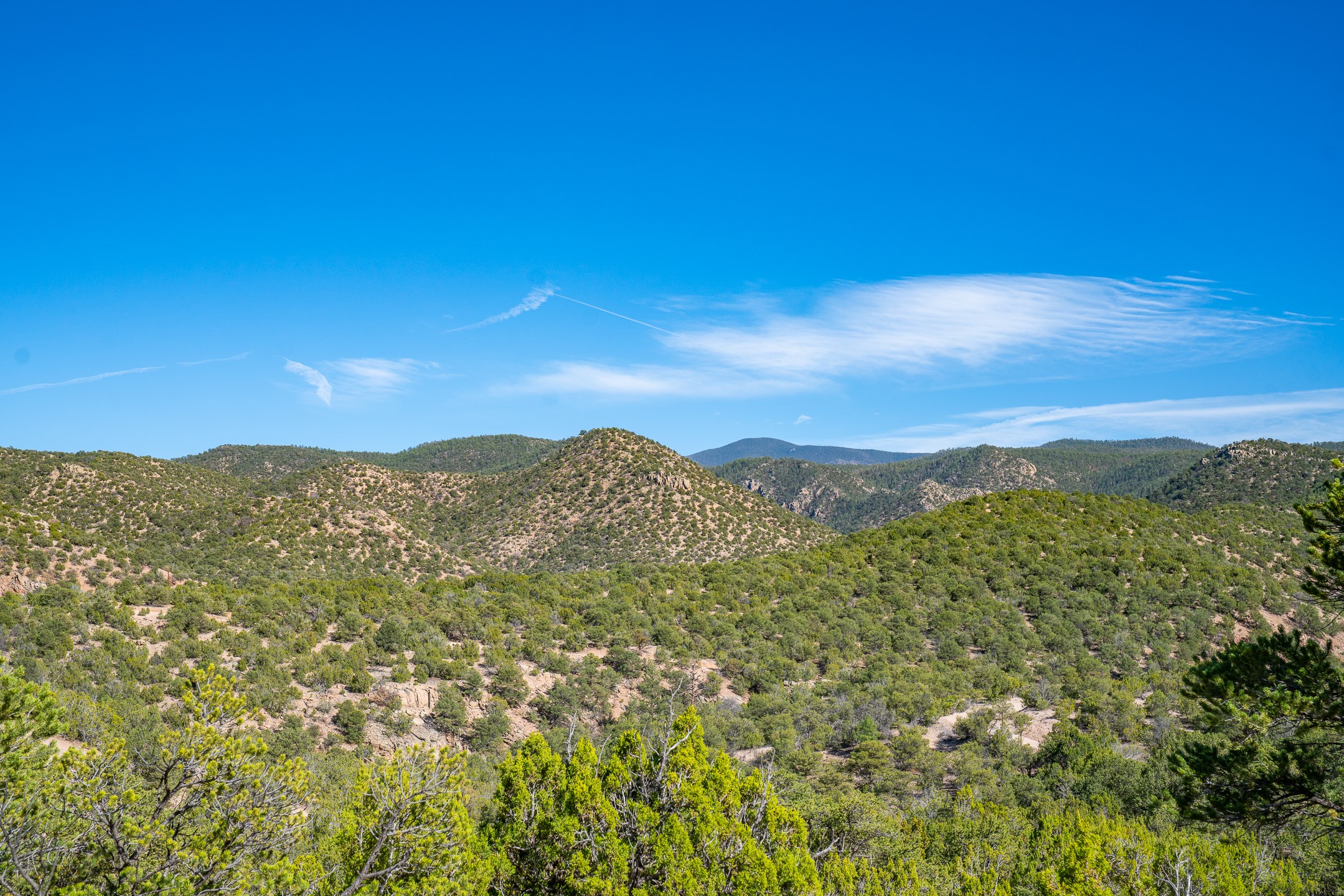  3.5 Acre Lot Camino Del Canon - 物件實景
