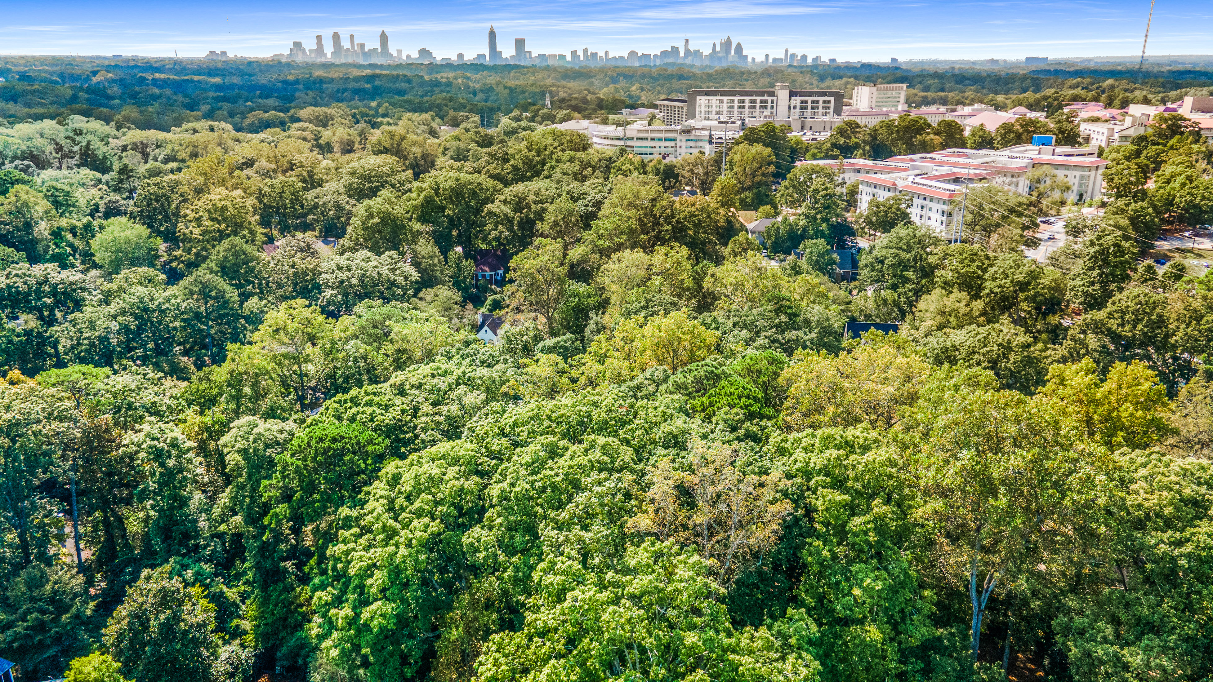  Three Contiguous Lots for New Construction in Historic Druid Hills - 物件實景