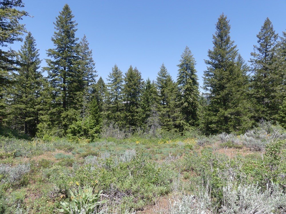 Indian Valley, Idaho, 83682, United States, ,Land,For Sale,1976667