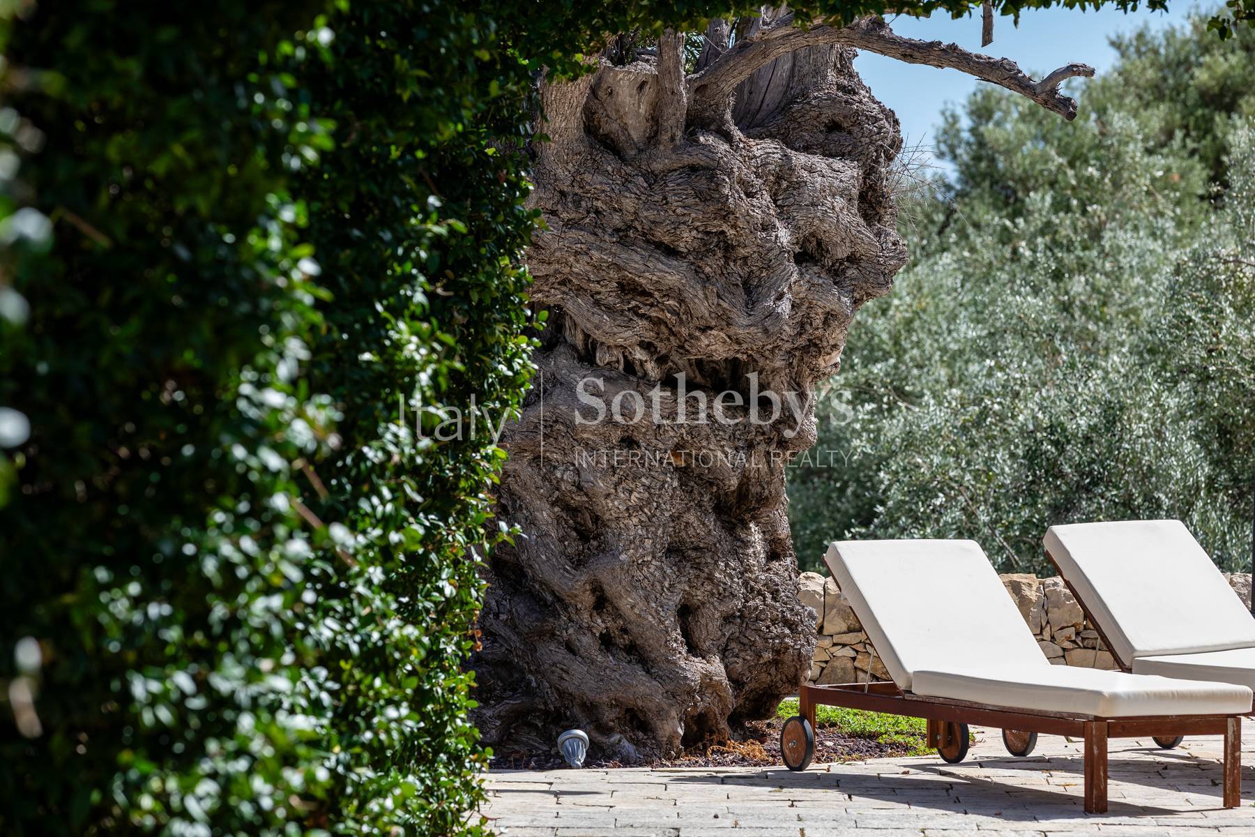  Sicilian villa with timeless elegance - 物件實景