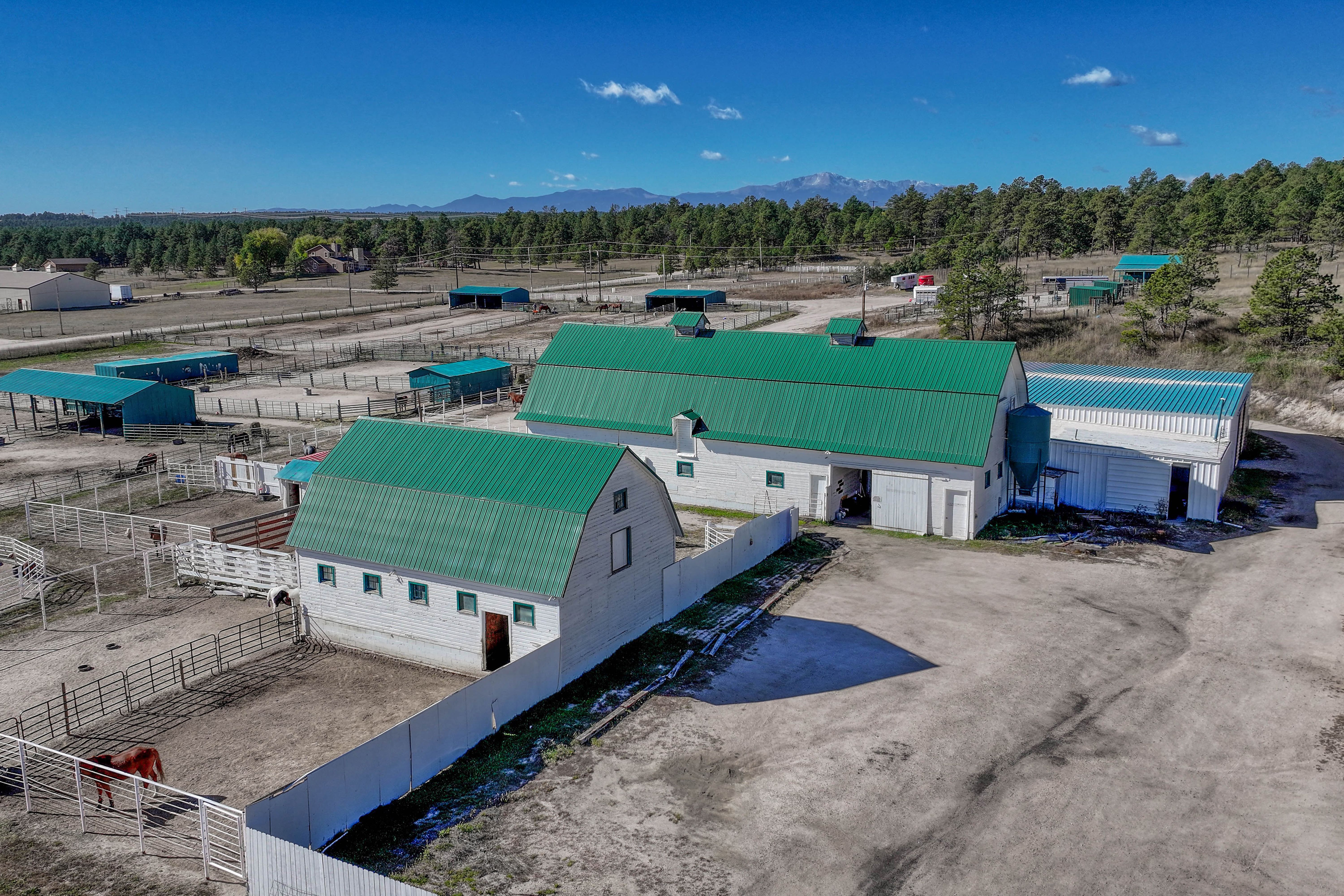  Historic Pine Run Ranch in Black Forest on rare 60 acres - 物件實景