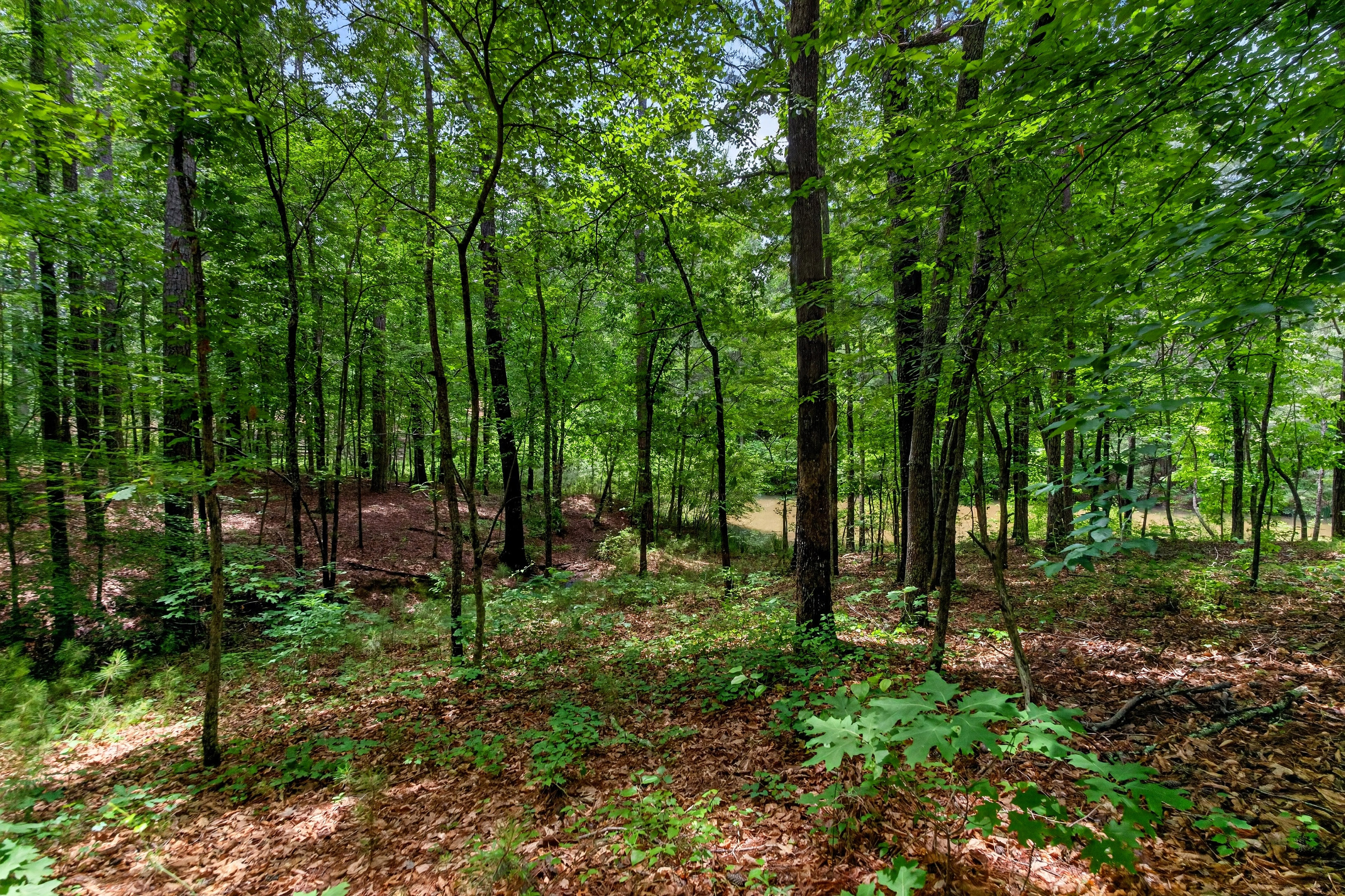 Privately Positioned on a Premier Lake Homesite - 物件實景