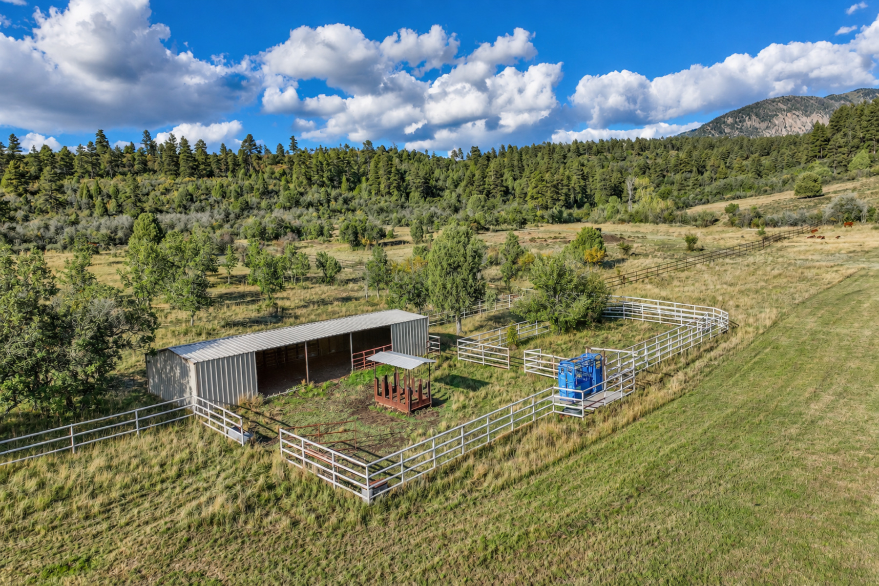  Crooked Spade Ranch - 物件實景