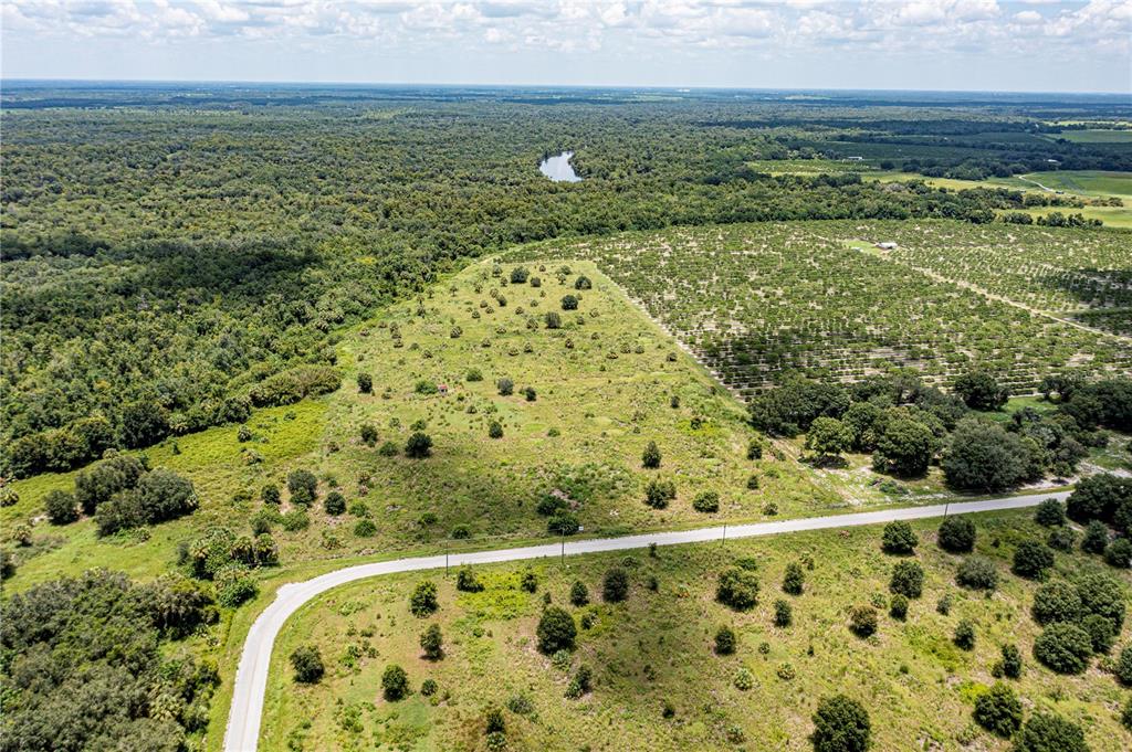 Arcadia, Florida, 34269, United States, ,Land,For Sale,1997252