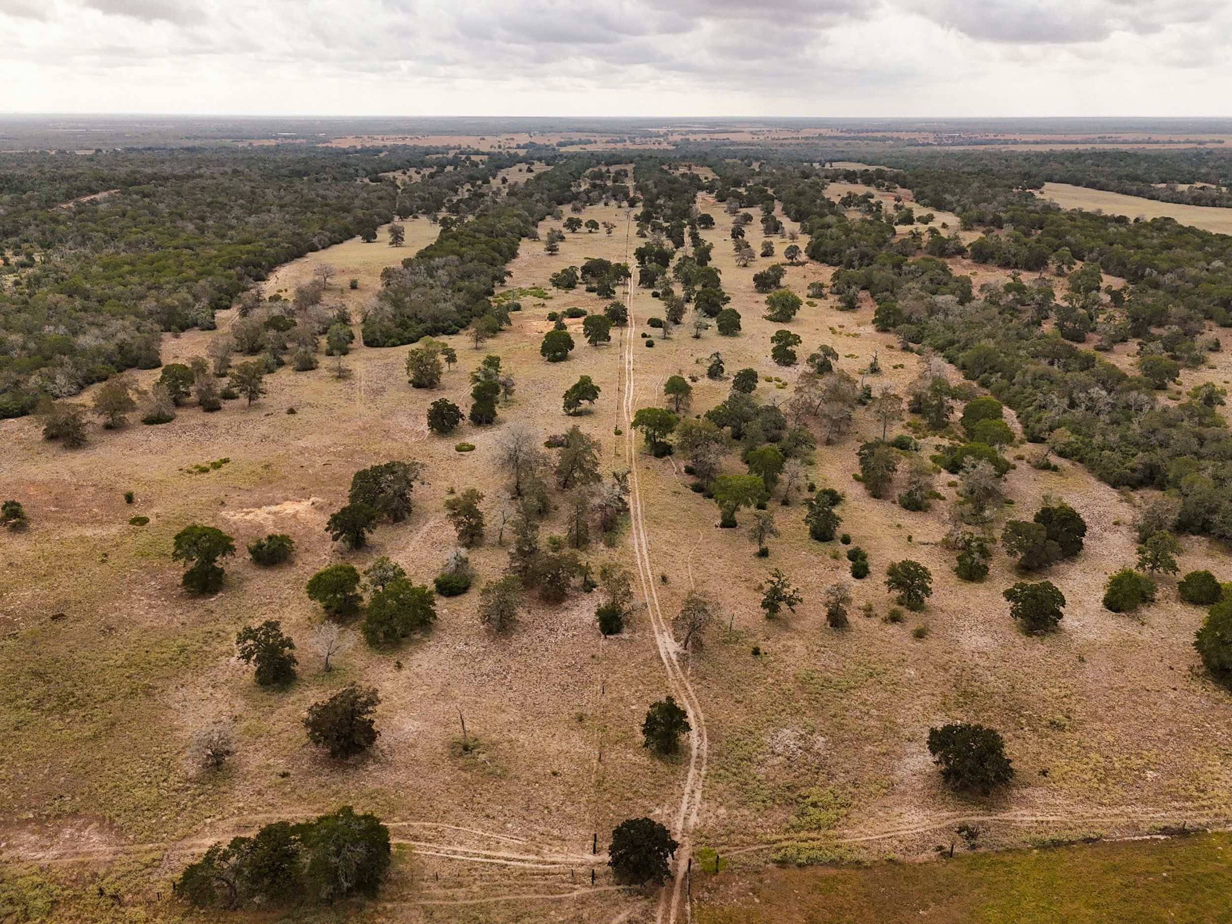  860+/- Acre PQR Ranch in Gonzales County - 物件實景