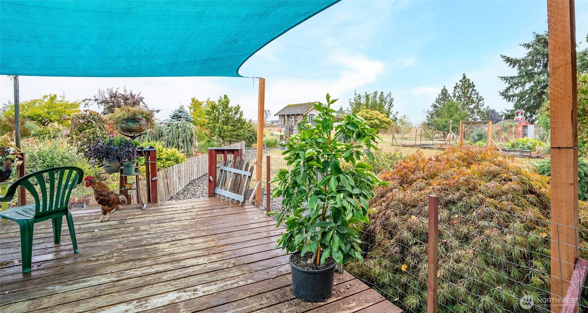 Toledo, Washington, 98591, United States, 3 Bedrooms Bedrooms, ,Residential,For Sale,1976554