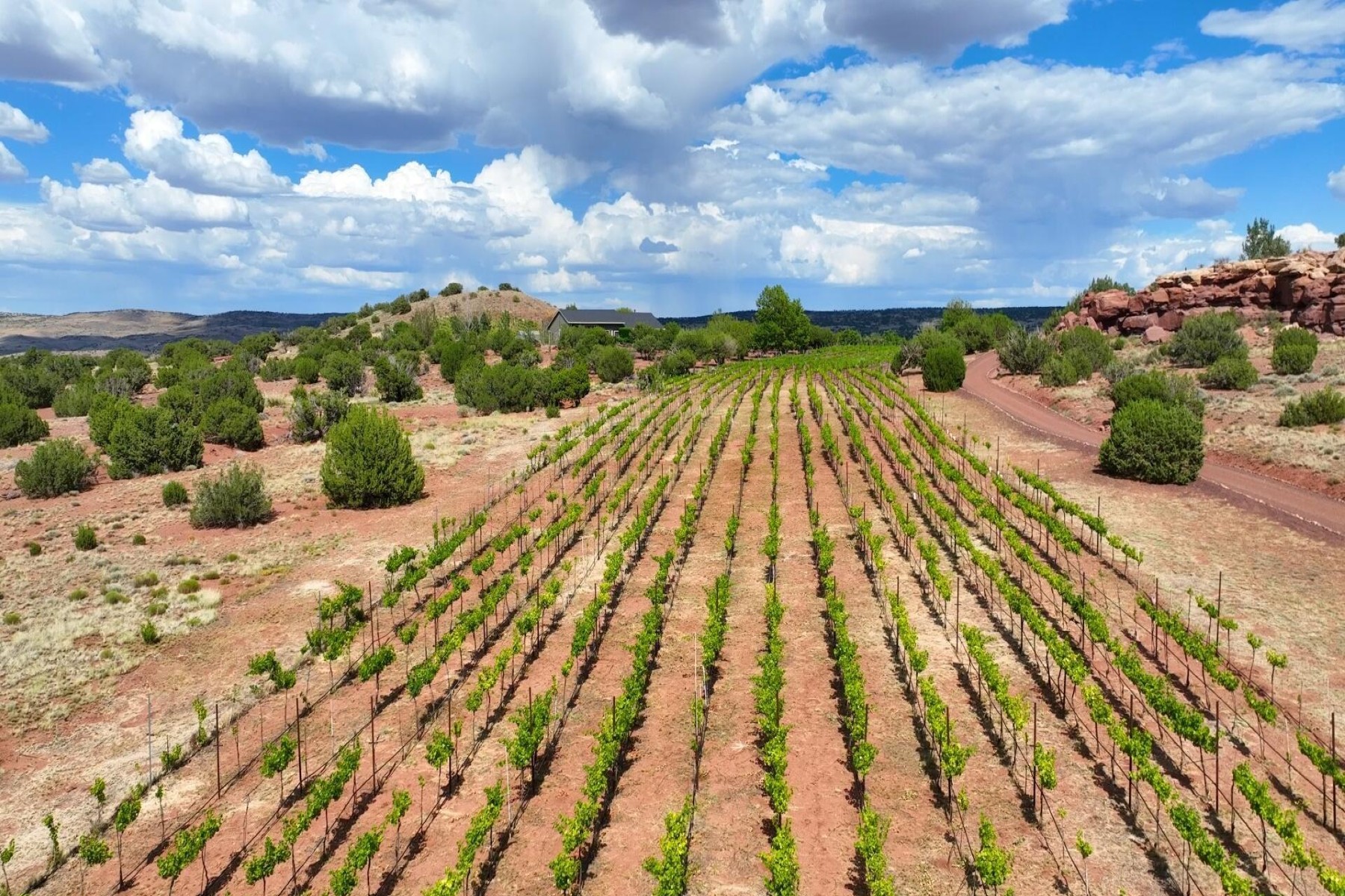  14 County Road 5309, Concho, AZ 85924 - 物件實景