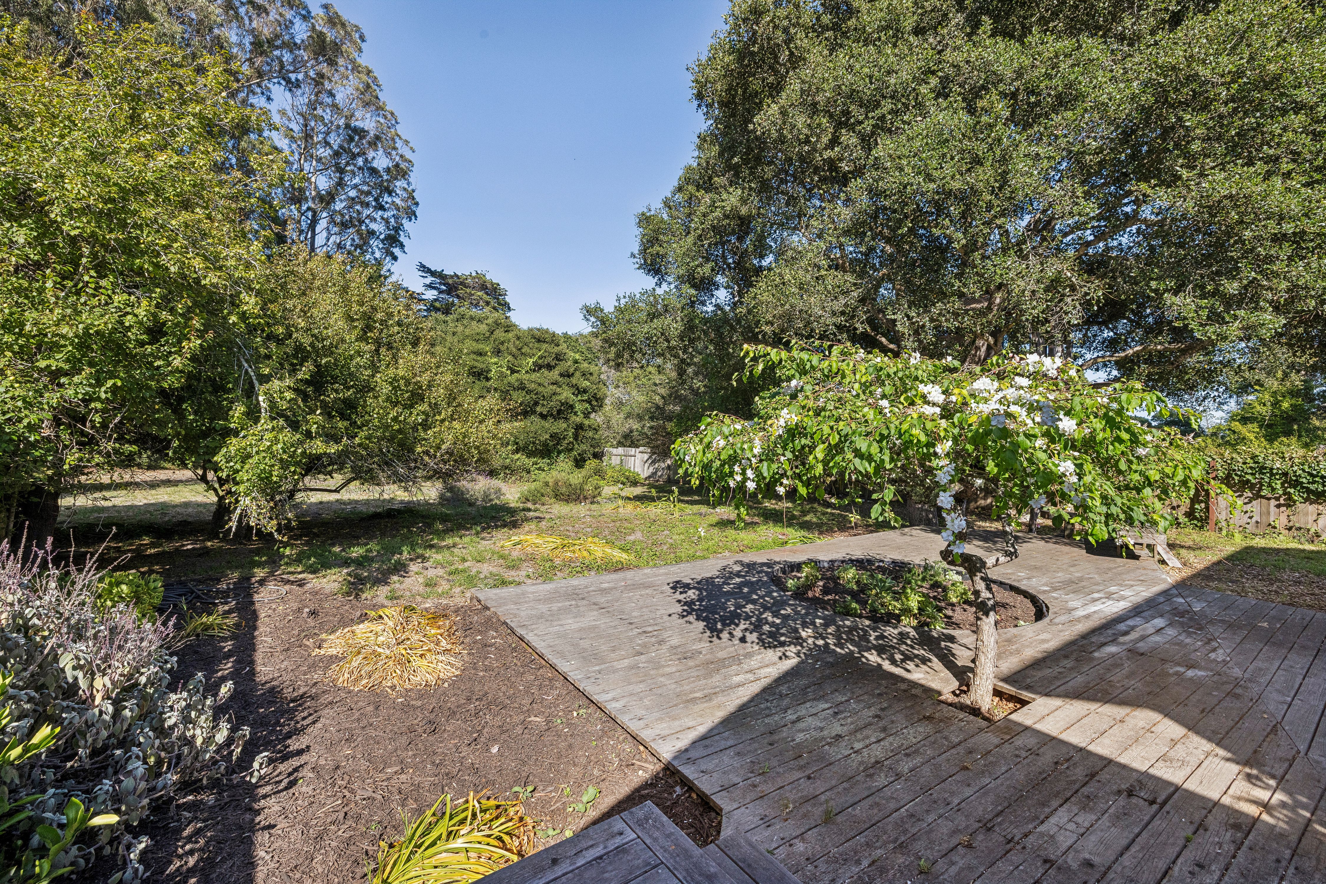  Bolinas Legend – Oldest Residence on Coastal Marin - 物件實景