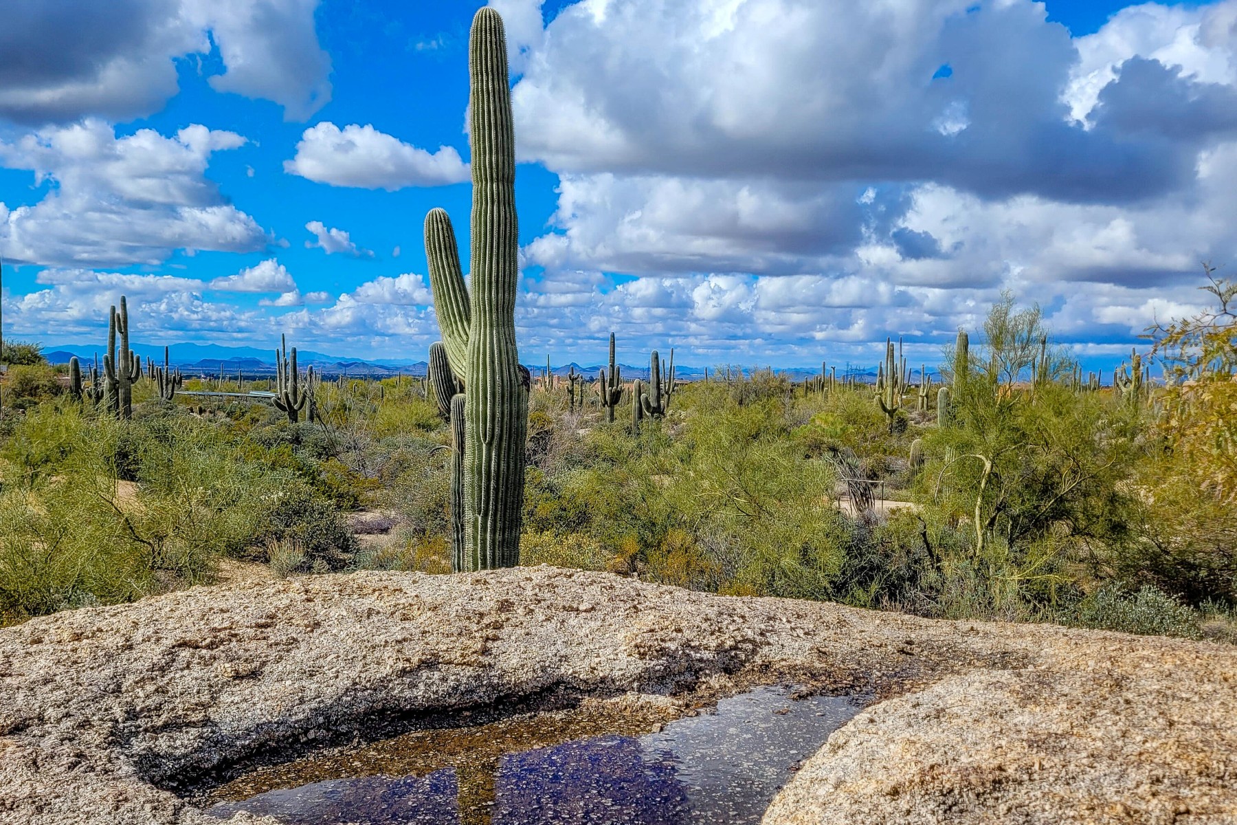  27777 N 95th Street  Scottsdale, AZ - 物件實景