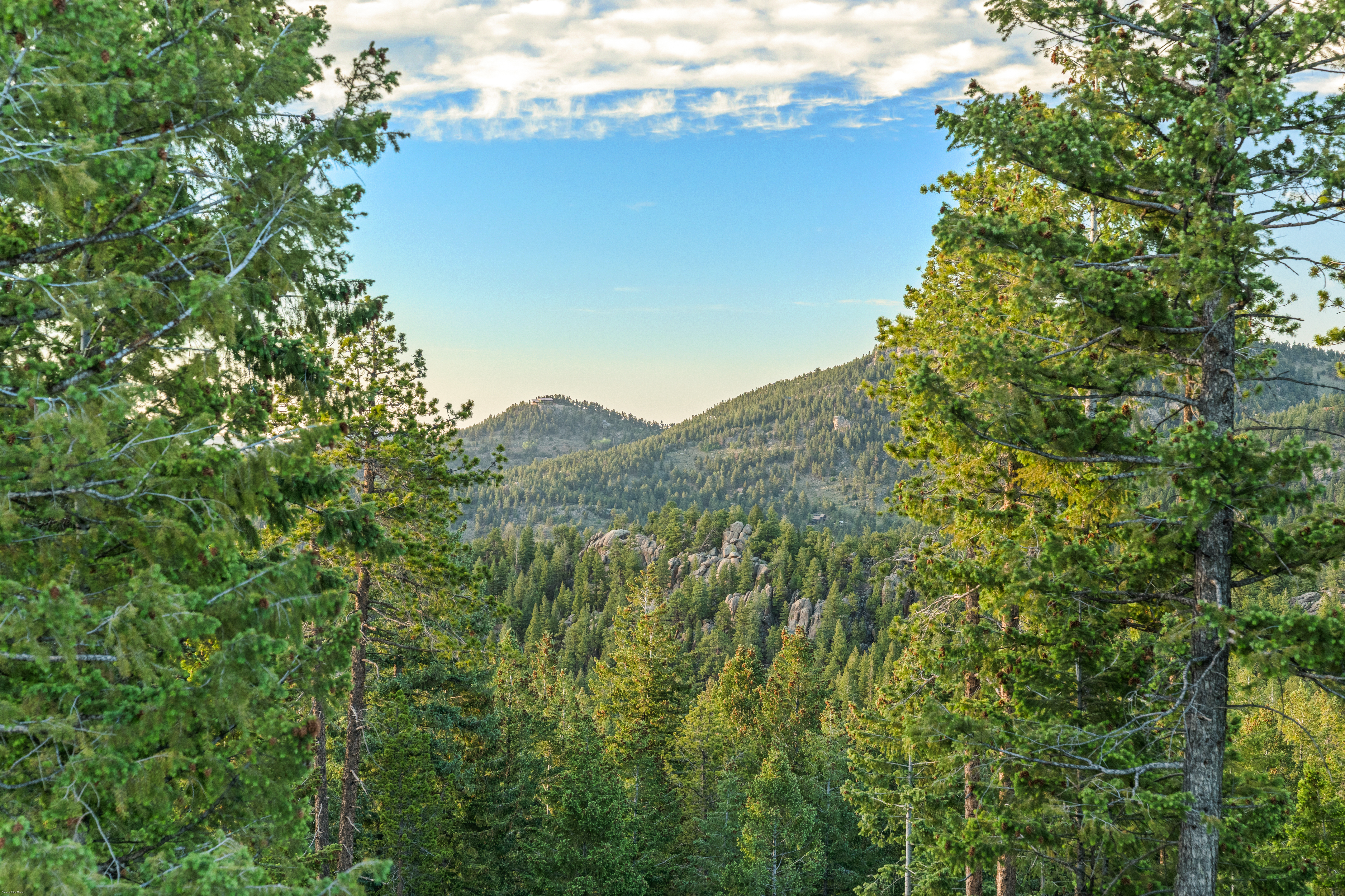  Acreage Available in Evergreen