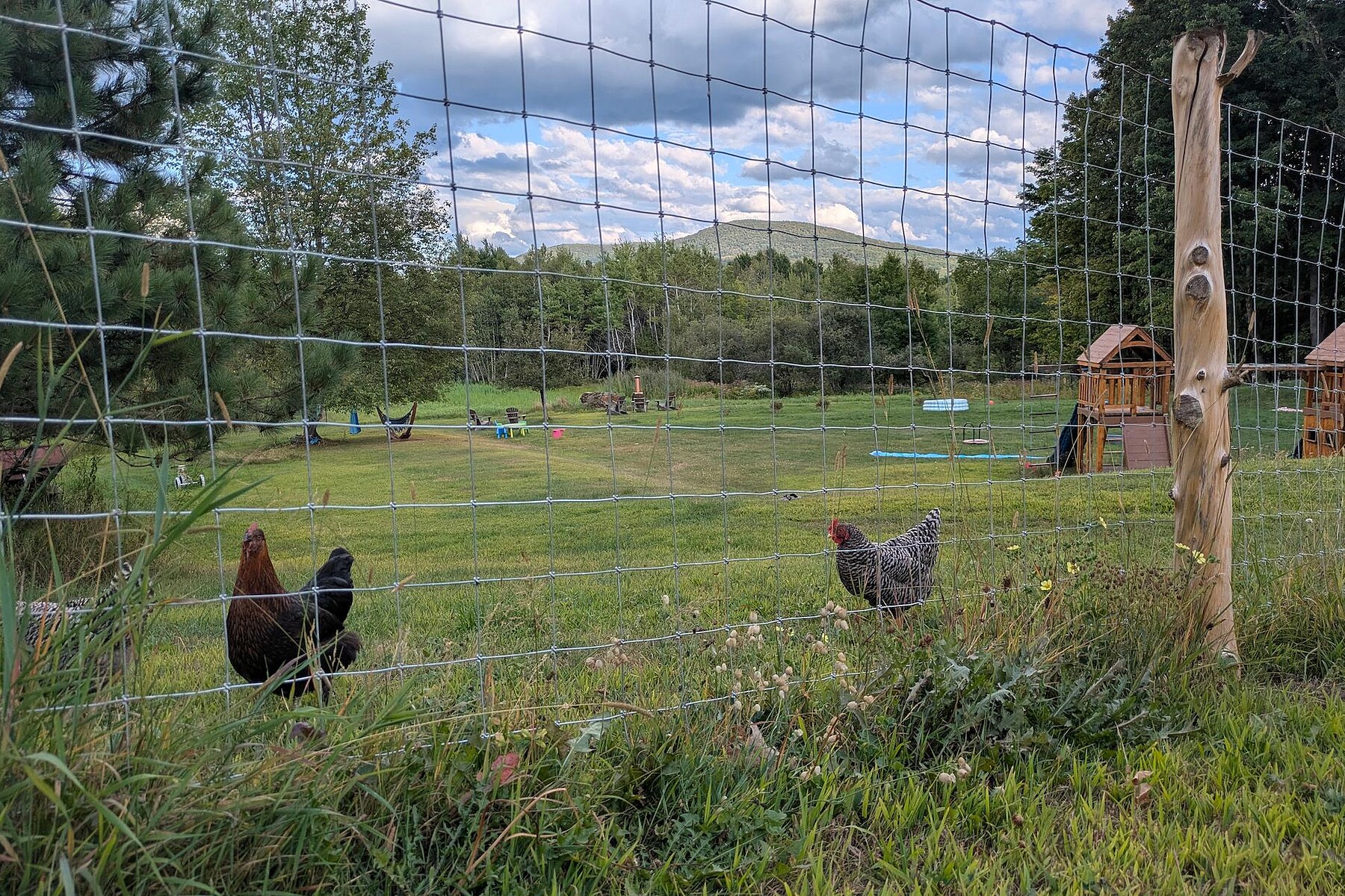  Granby, Eastern Townships - 物件實景