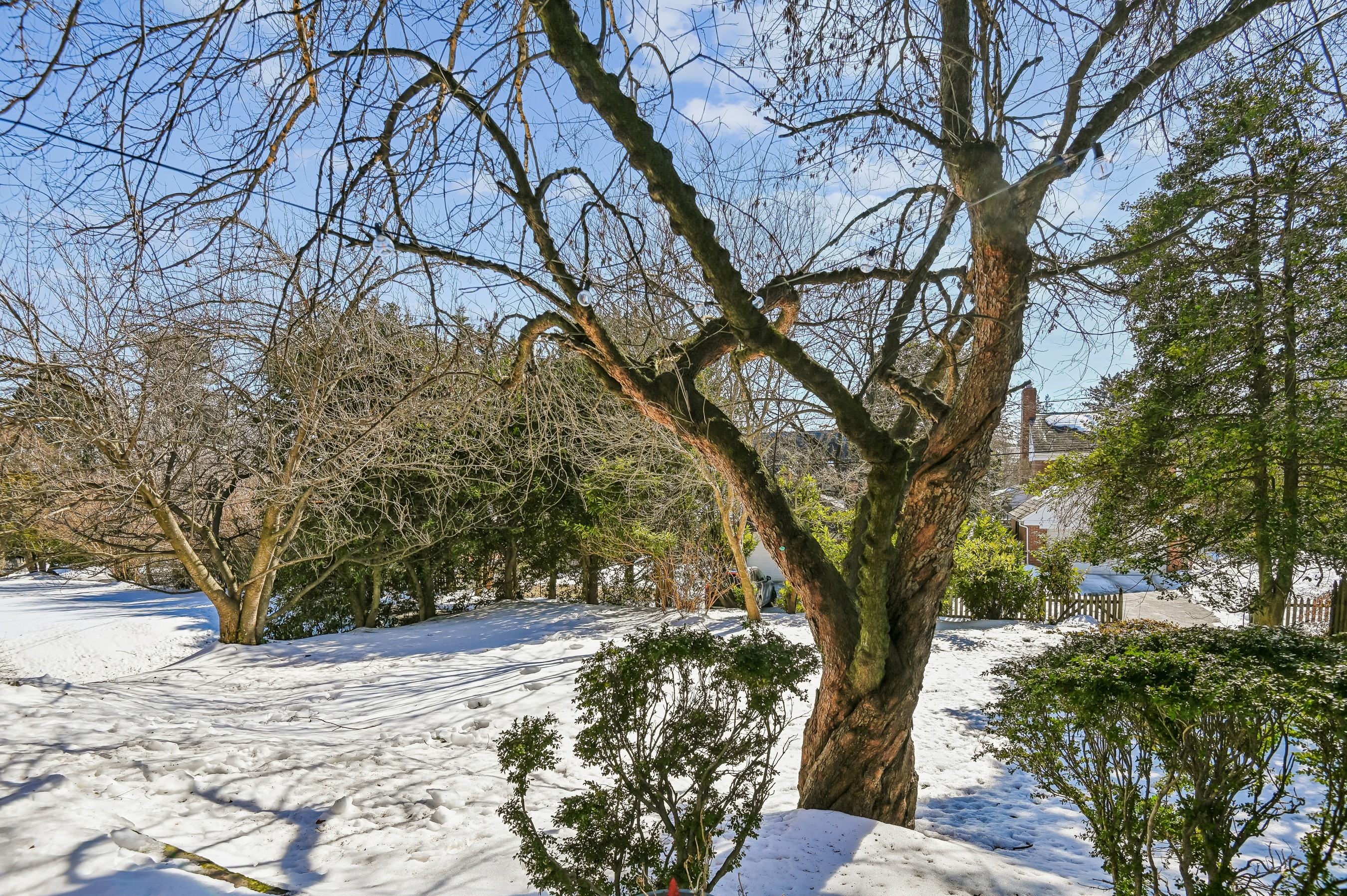  GREATER HOMELAND HISTORIC DISTRICT - 物件實景