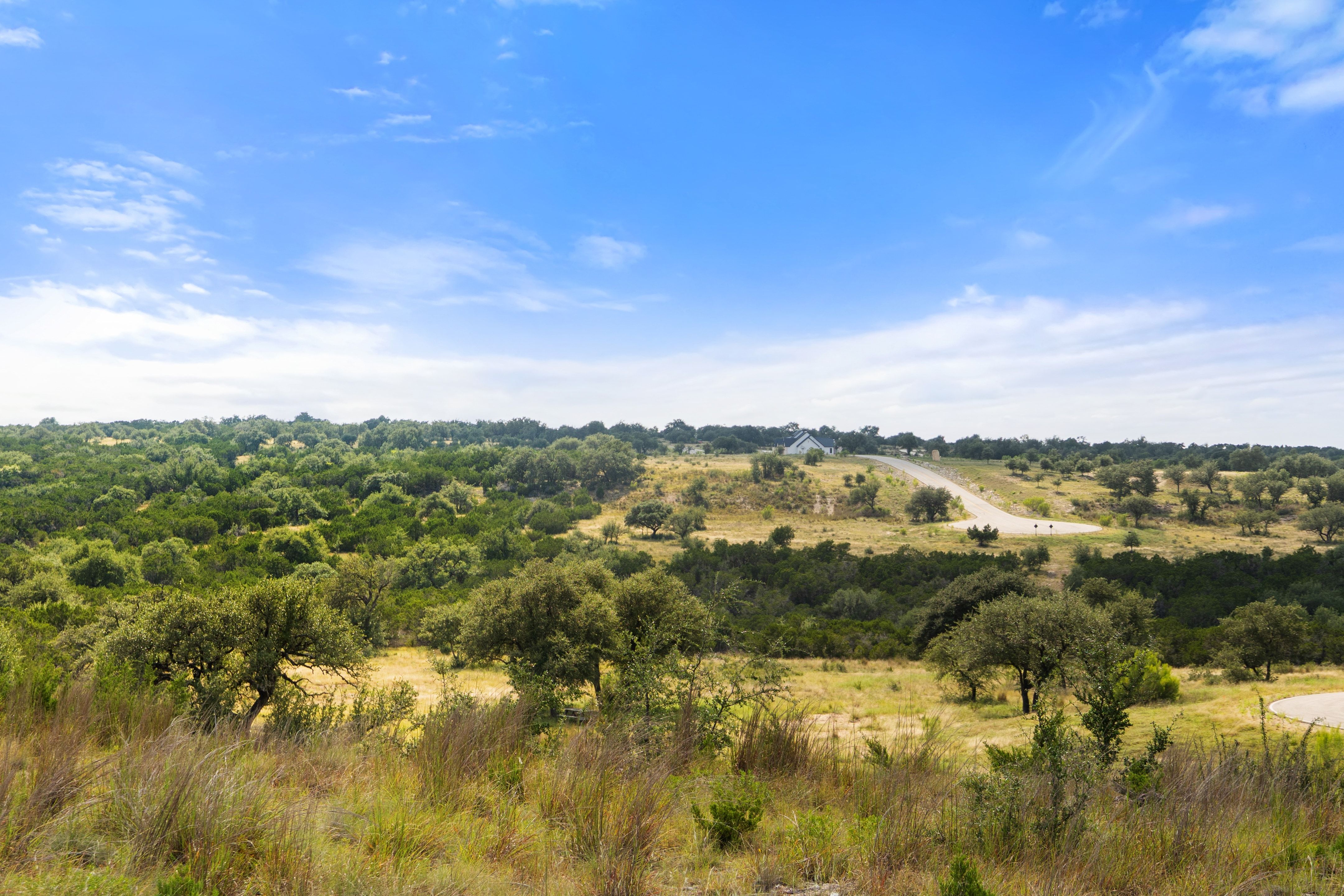  Dream Home Worthy 5 Acre Lot - 147 East Flying Owl Drive - 物件實景