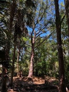 Punta Gorda, Florida, 33982, United States, ,Land,For Sale,1840783