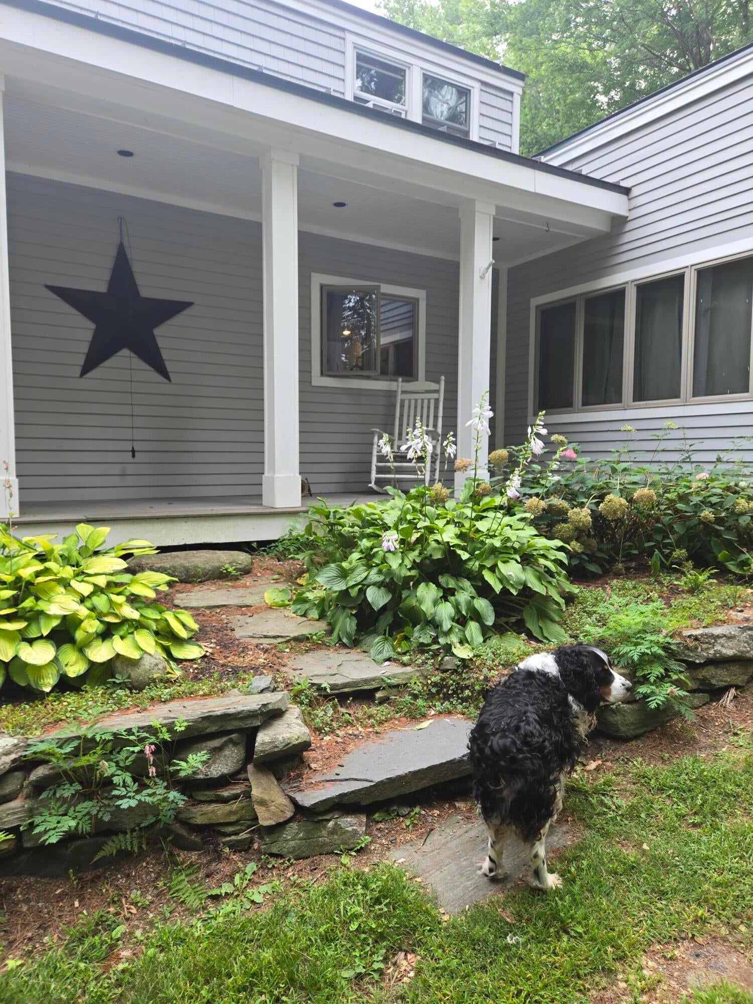 Molyneaux Rd, Camden, ME 04843 #1