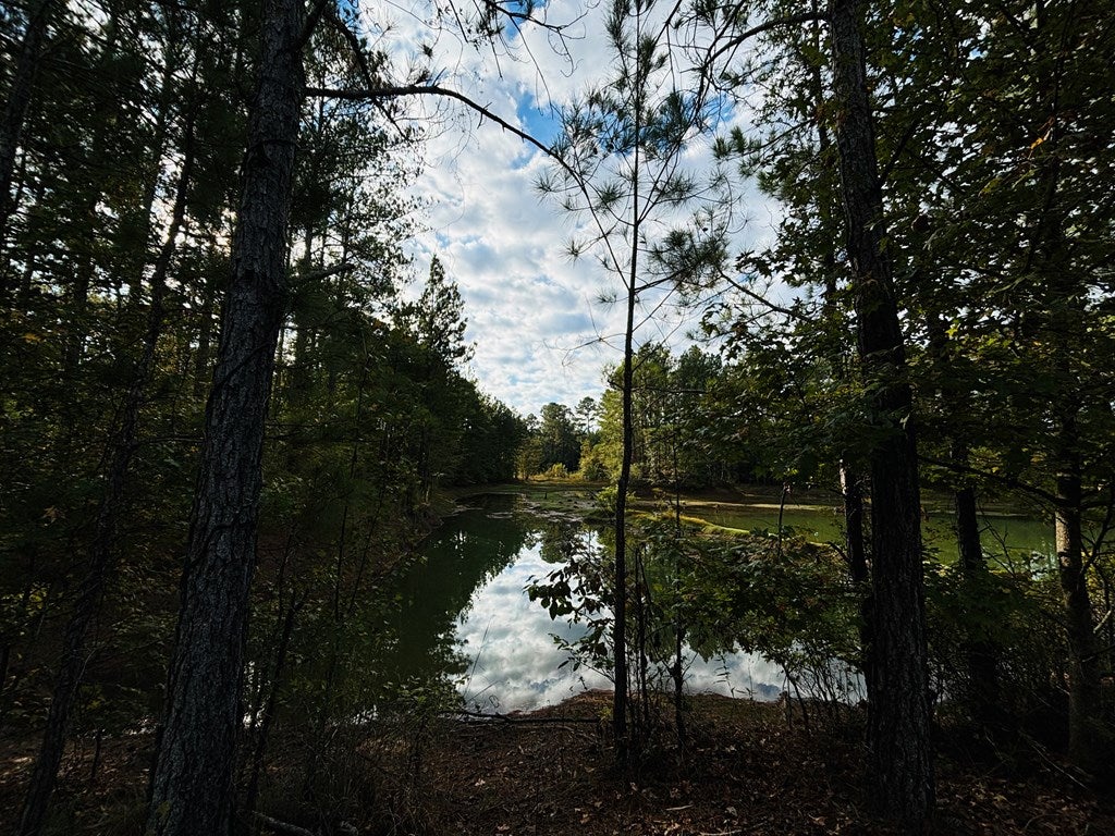 Abbeville, Georgia, 31001, United States, ,Land,For Sale,1975130