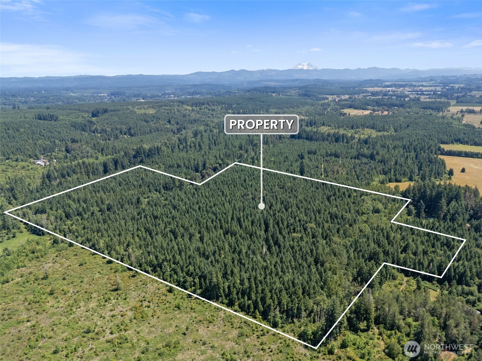 Ethel, Washington, 98542, United States, ,Residential,For Sale,1936927
