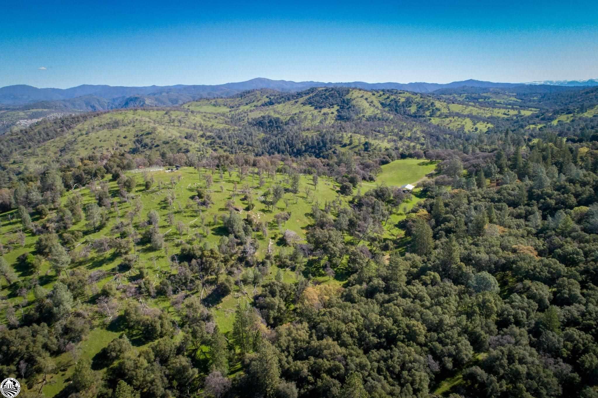 16551 Wards Ferry Rd, Big Oak Flat, California, 95305, United States, ,Land,For Sale,16551 Wards Ferry Rd,1554958