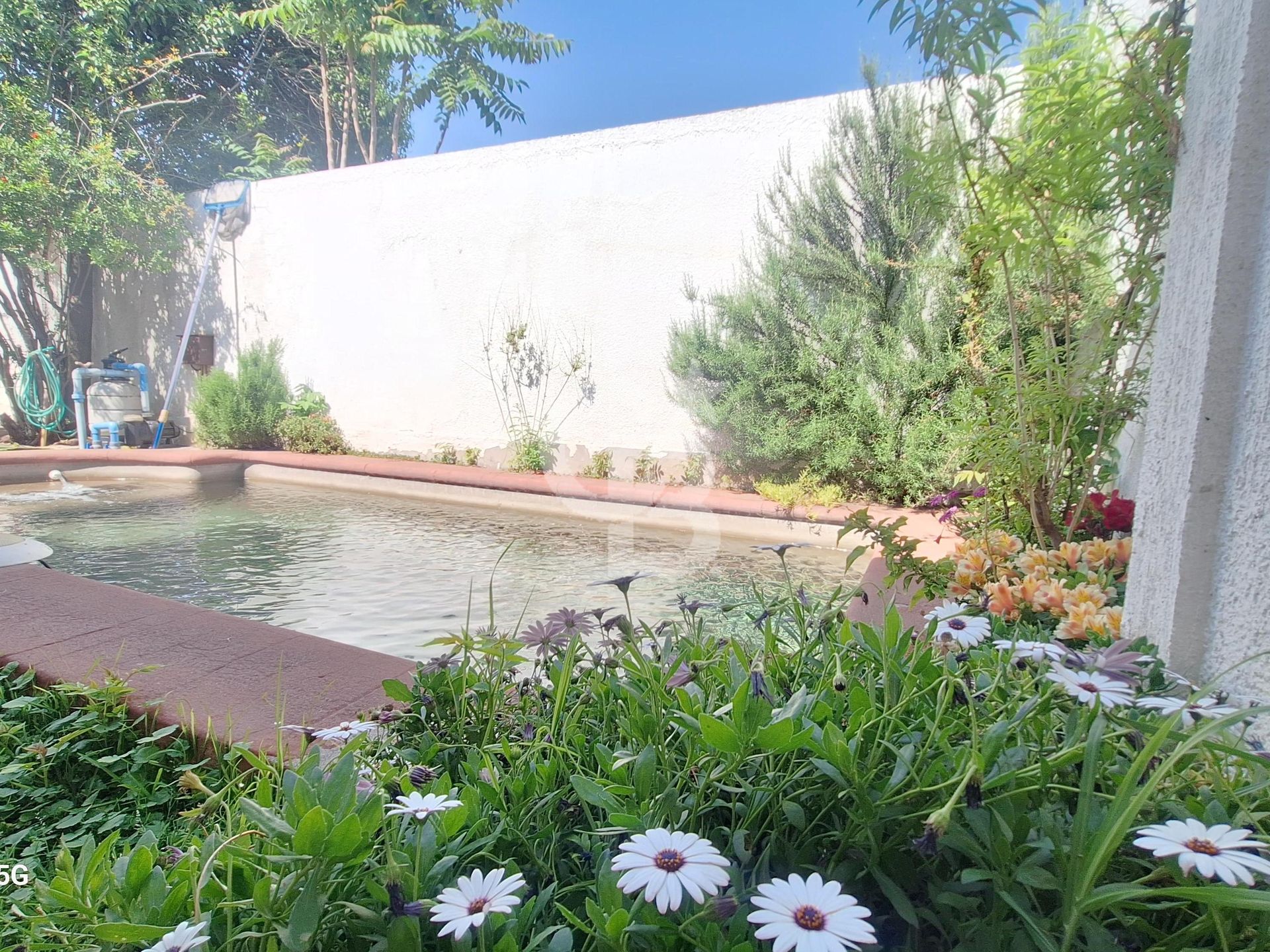 Las Condes, Chile, 5 Bedrooms Bedrooms, ,4 BathroomsBathrooms,Residential,For Sale,1992180