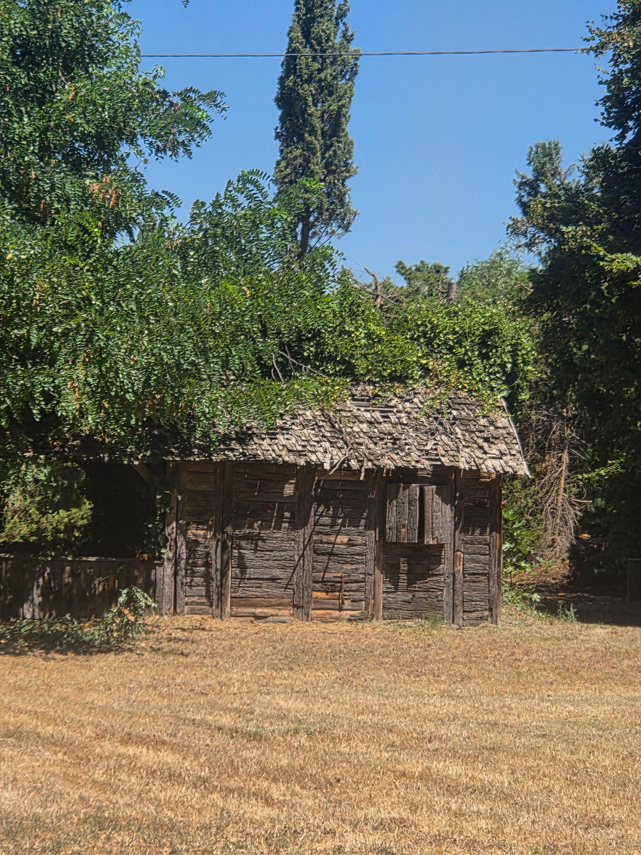  LA BELLE ENDORMIE – ON THE DOORSTEP OF PERPIGNAN - 物件實景