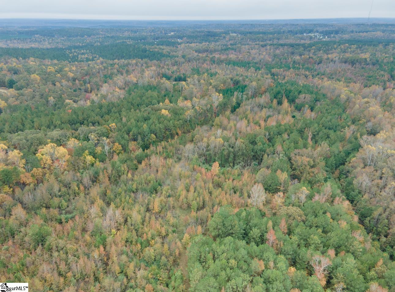 00 Highway 176 Bypass, Pacolet, South Carolina, 29372, United States, ,Land,For Sale,00 Highway 176 Bypass,1650900