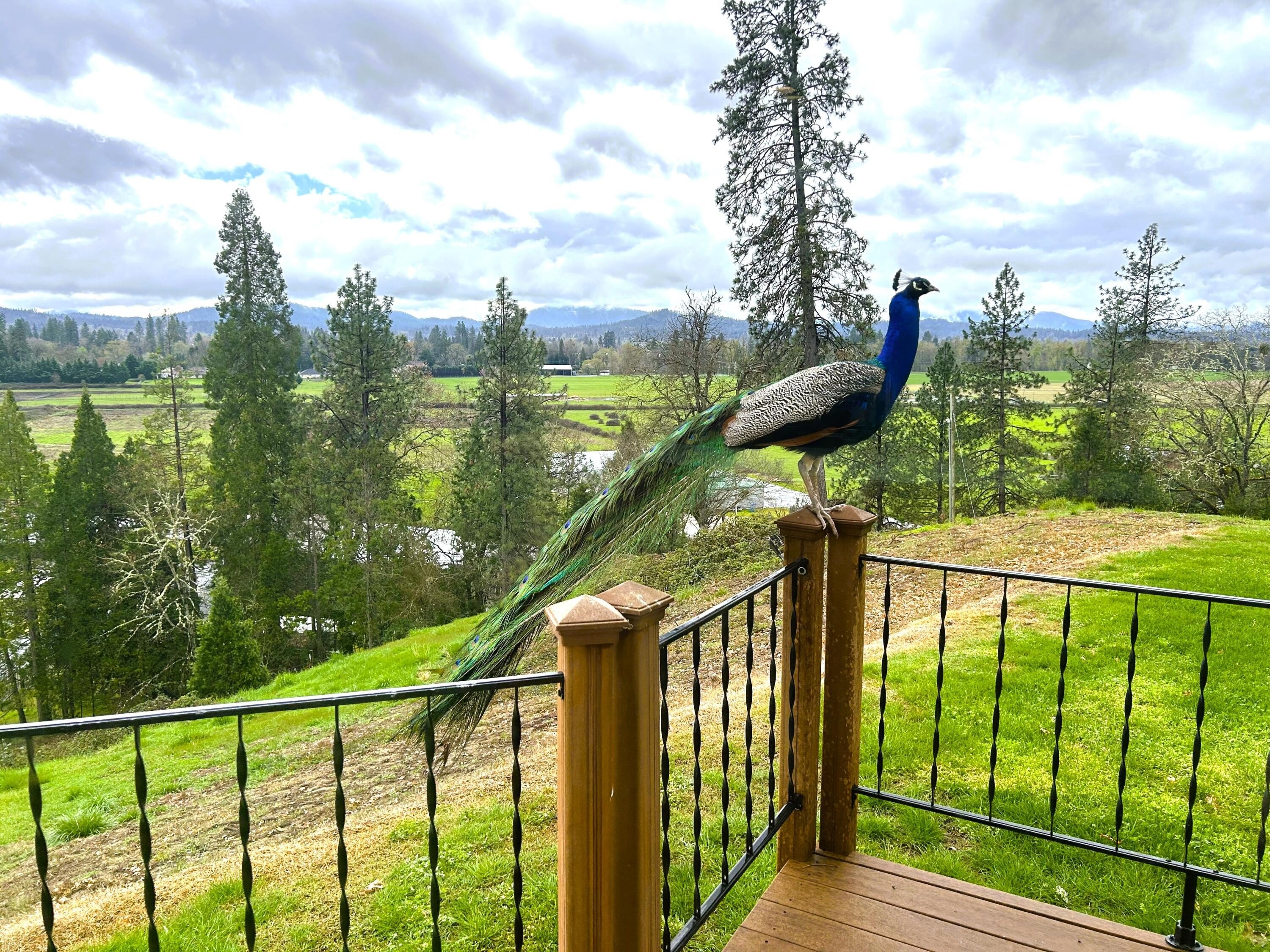 Grants Pass, Oregon, 97526, United States, 4 Bedrooms Bedrooms, ,6 BathroomsBathrooms,Residential,For Sale,1765933