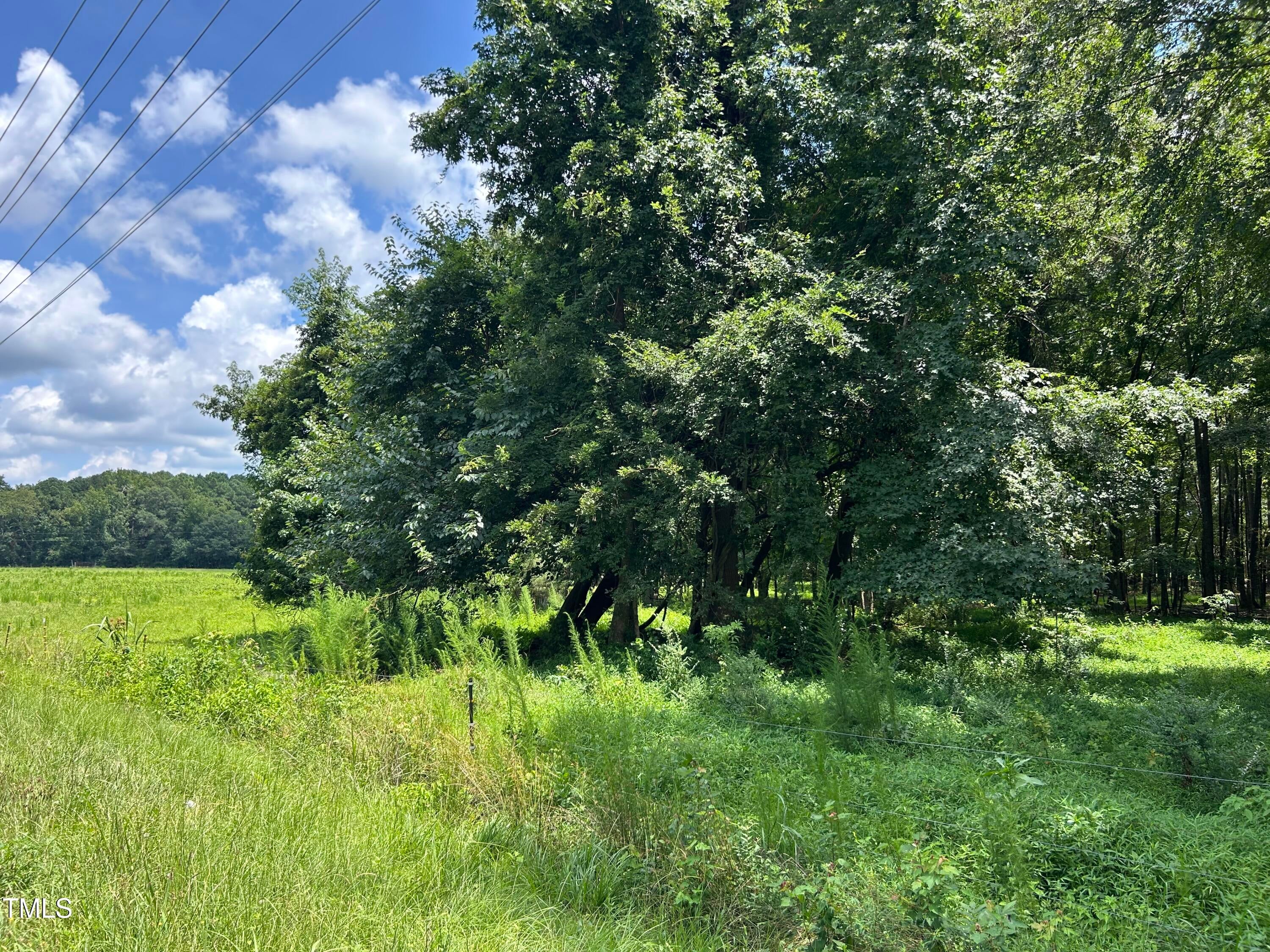 Spring Hope, North Carolina, 27882, United States, ,Land,For Sale,1903497