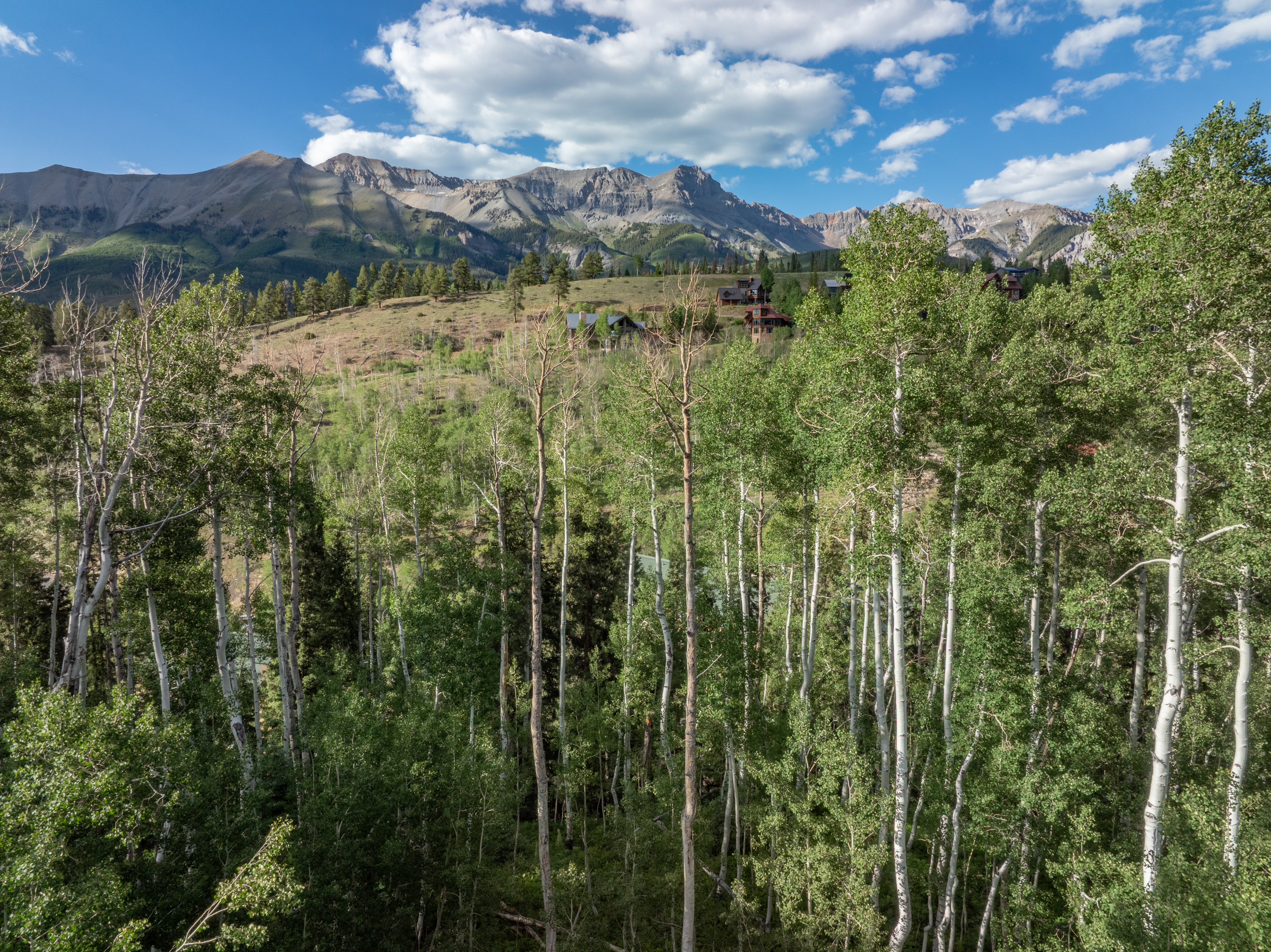  Lot 534 Russell Drive, Mountain Village, CO, 81435 - 物件實景