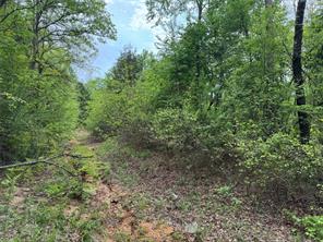 Naples, Texas, 75568, United States, ,Land,For Sale,1786234