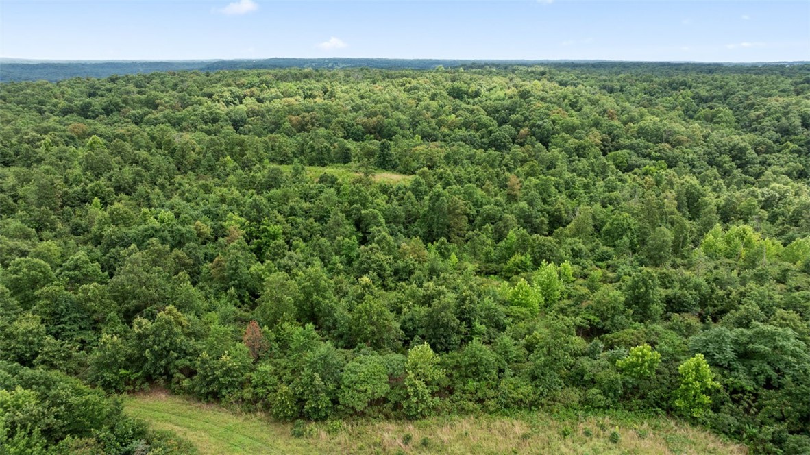Noel, Missouri, 64854, United States, ,Land,For Sale,1785483