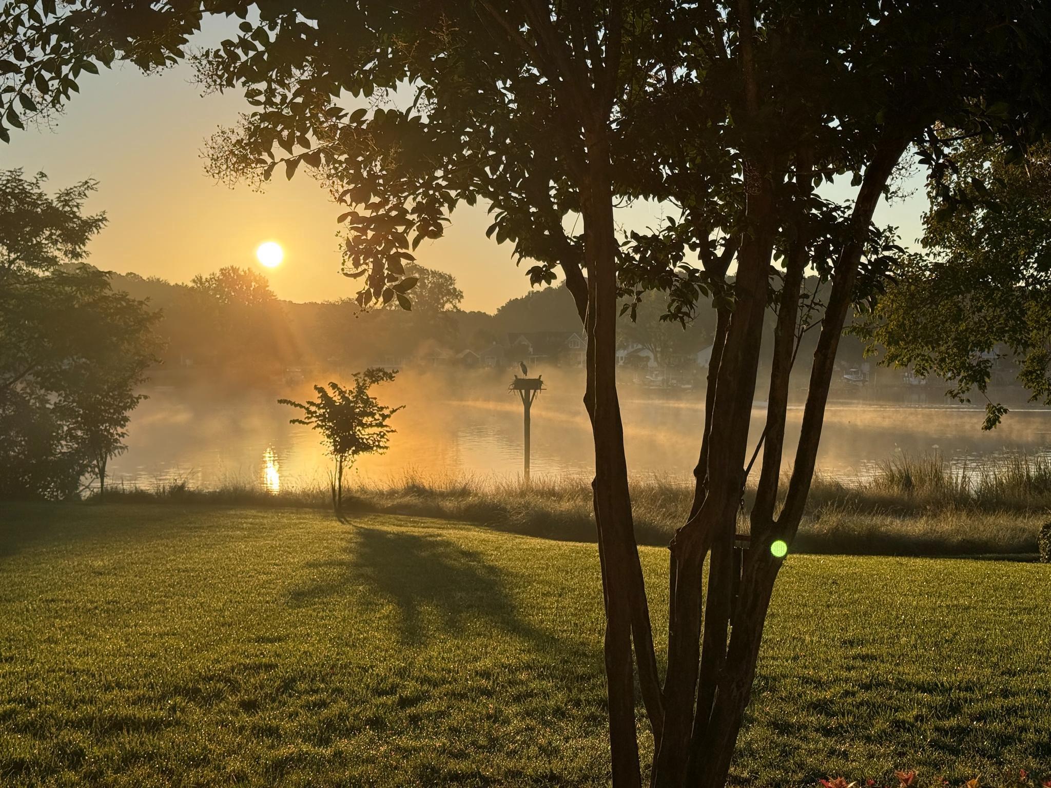  330 Serenity Lane, Chester, MD, 21619 - 物件實景