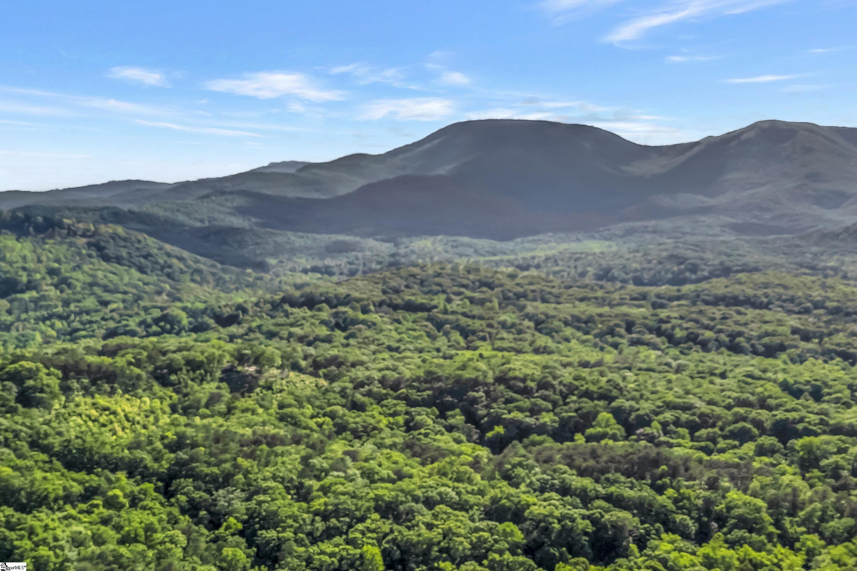 Landrum, South Carolina, 29356, United States, 3 Bedrooms Bedrooms, ,3 BathroomsBathrooms,Residential,For Sale,1948033