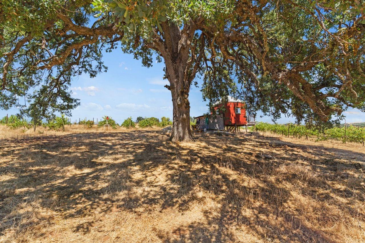 21226 Dickson Road, Plymouth, California, 95669, United States, ,Land,For Sale,21226 Dickson Road,1672447