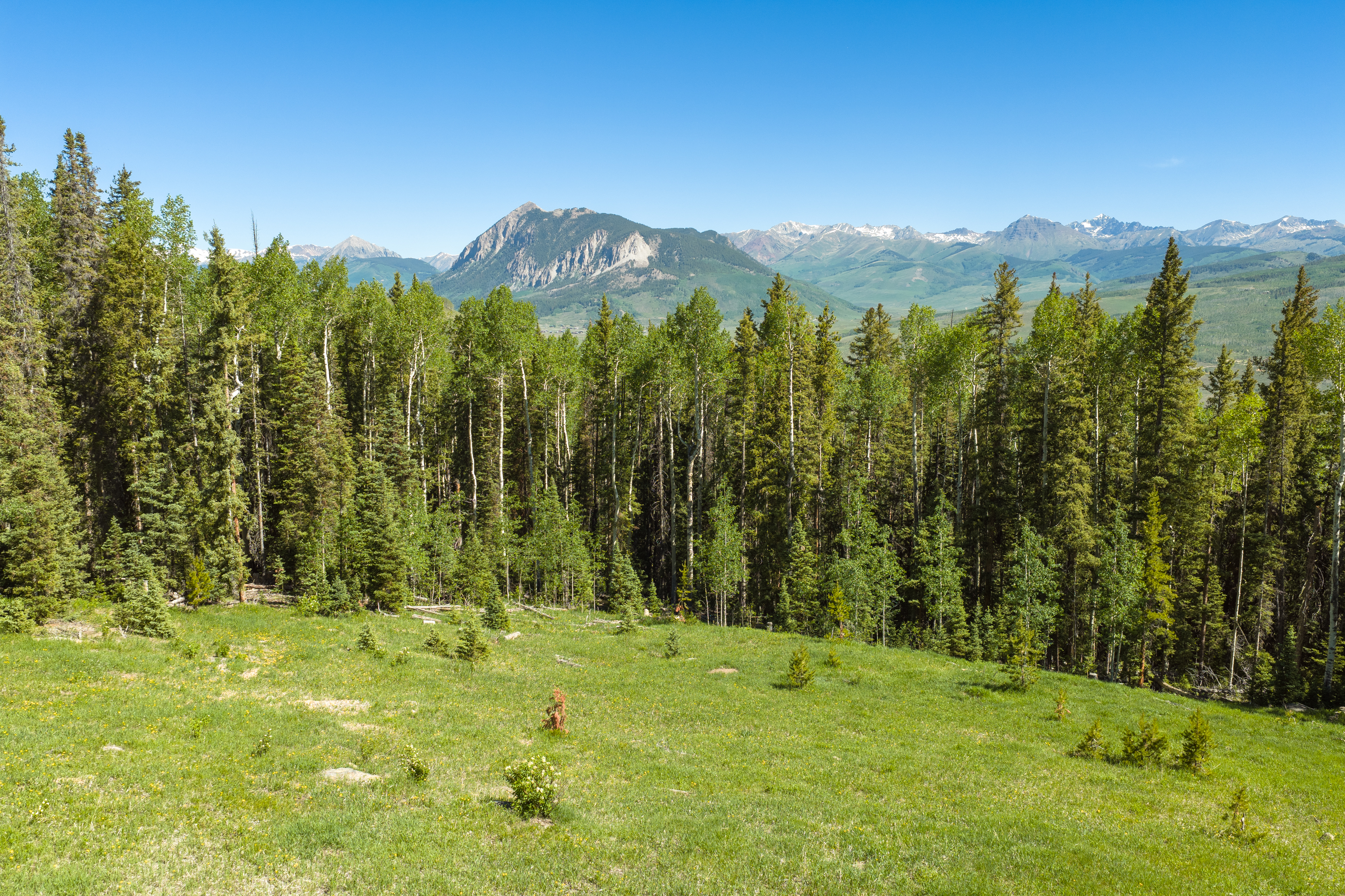  141 White Buffalo Trail, Crested Butte, CO, 81224 - 物件實景