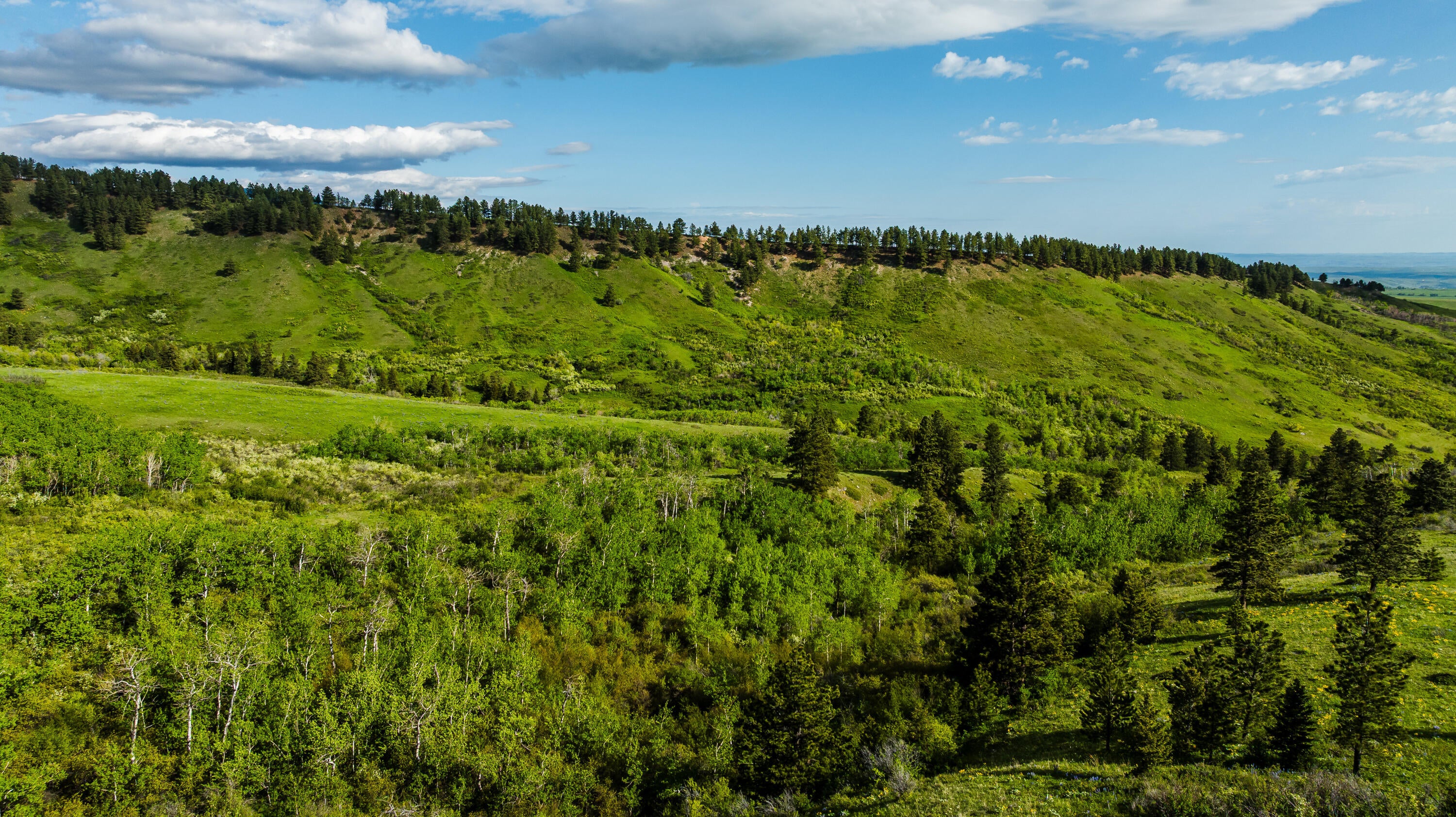 Big Horn, Wyoming, 82833, United States, ,Residential,For Sale,2011314