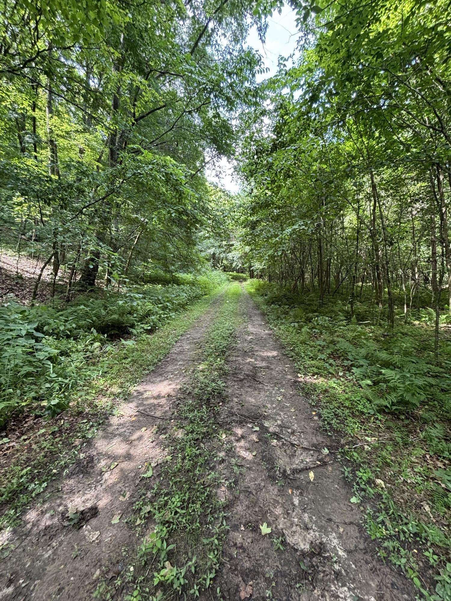 Gays Mills, Wisconsin, 54631, United States, ,Residential,For Sale,1928729