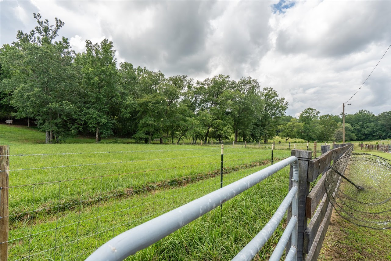 Heflin, Alabama, 36264, United States, ,Land,For Sale,1981342