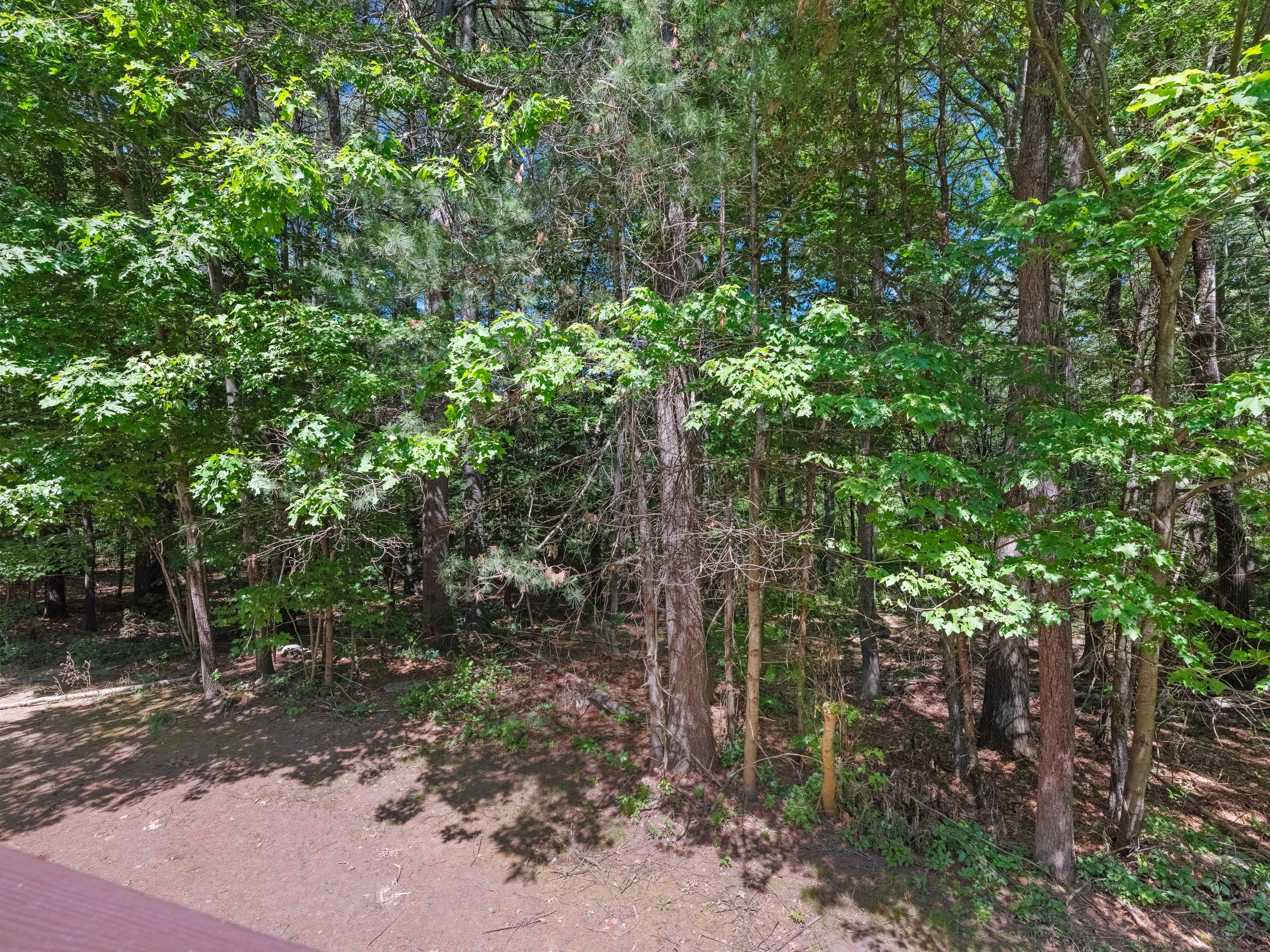  4 Quail Run, Acton, MA 01720 - 物件實景